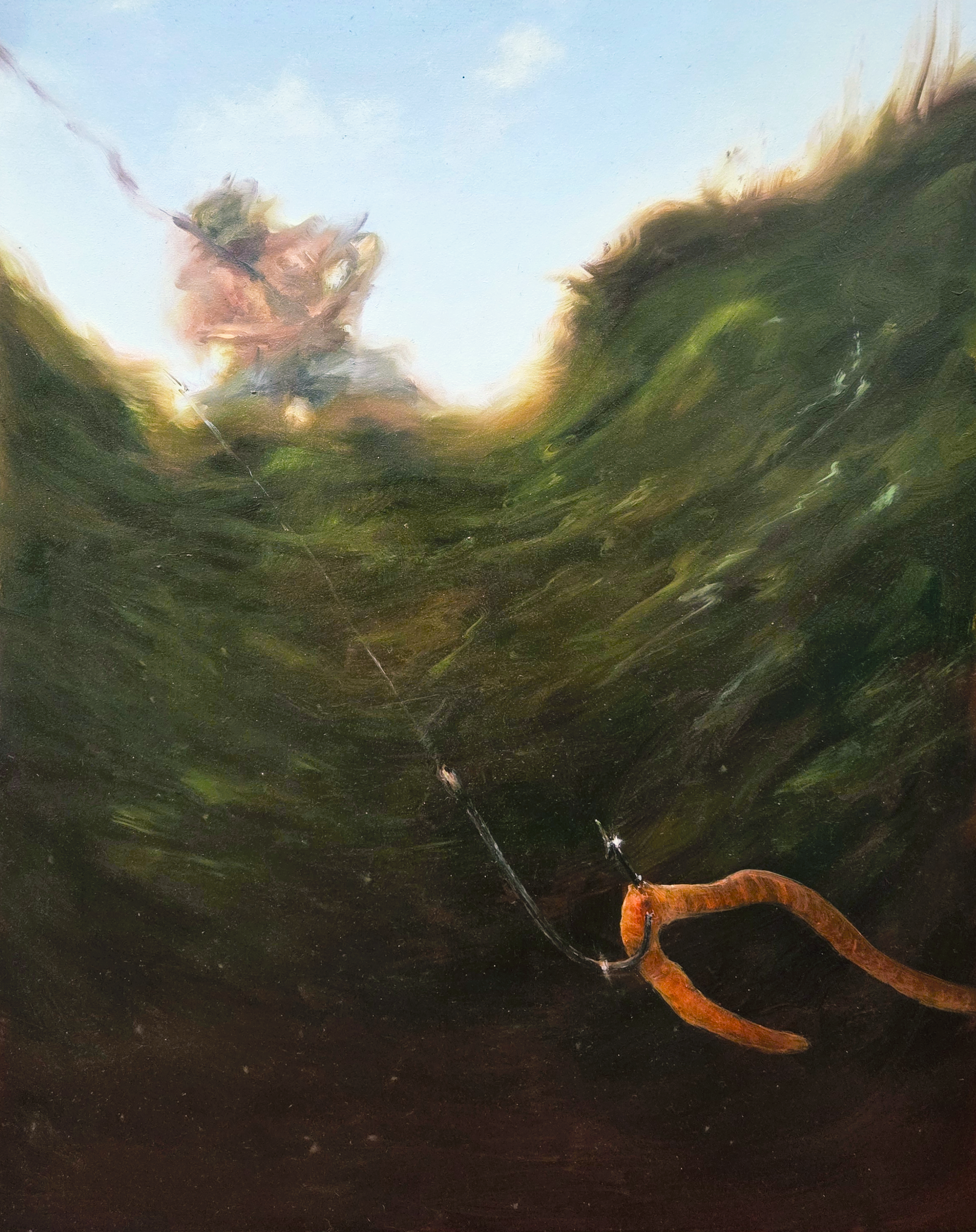 Study from the perspective of a fish, 2026, 16" x 20", oil on panel board