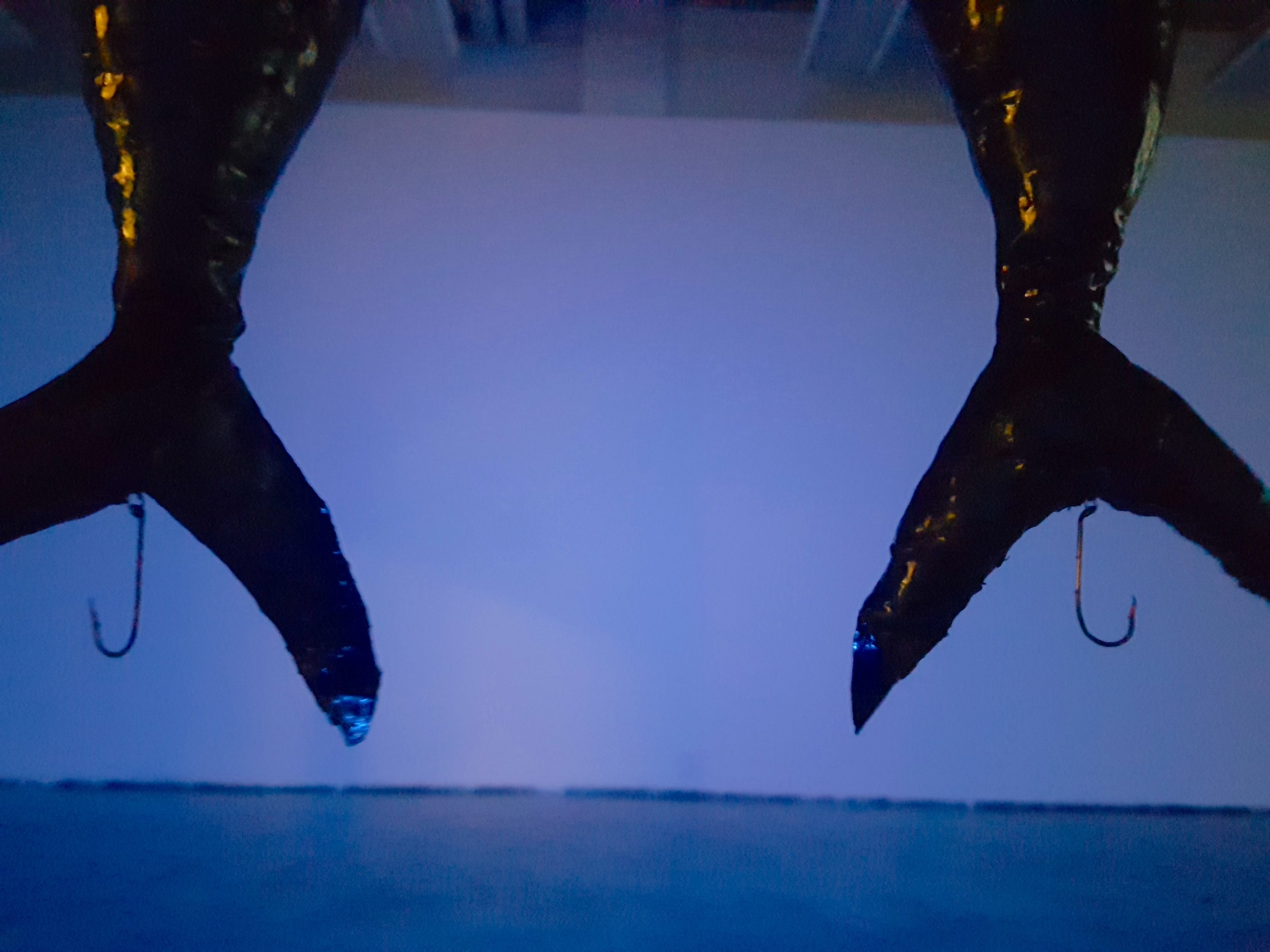 Soft Bait / 2019 / 20" x 4" / Gelatin, ink, fish hook, nipple pasties, taxidermy fish eyes, fishing line