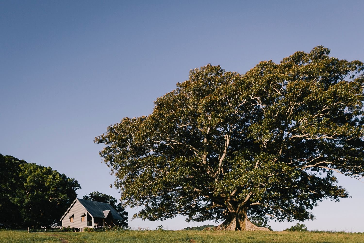 The cottage at Frida's Field 