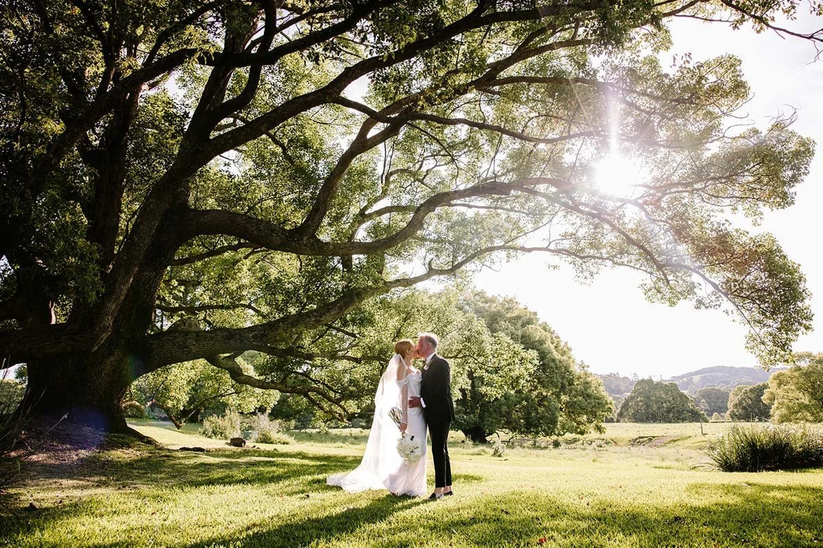 Byron Bay hinterland wedding