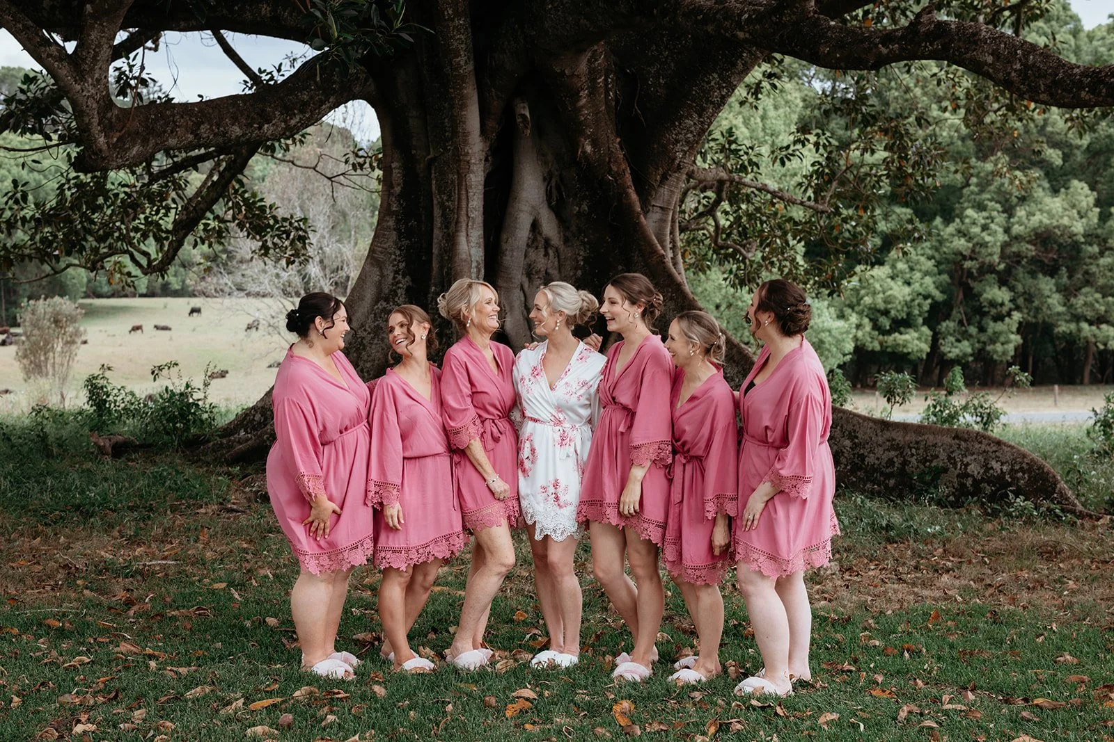 Byron Bay hinterland wedding venue