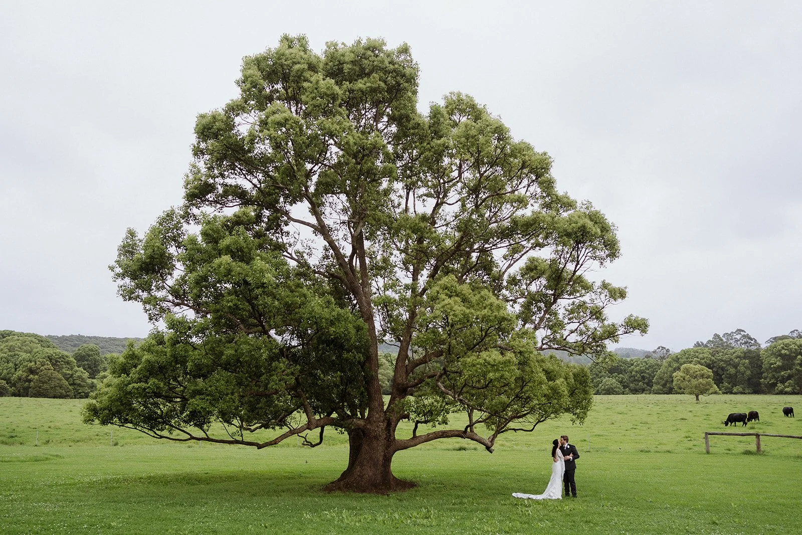 wedding photo