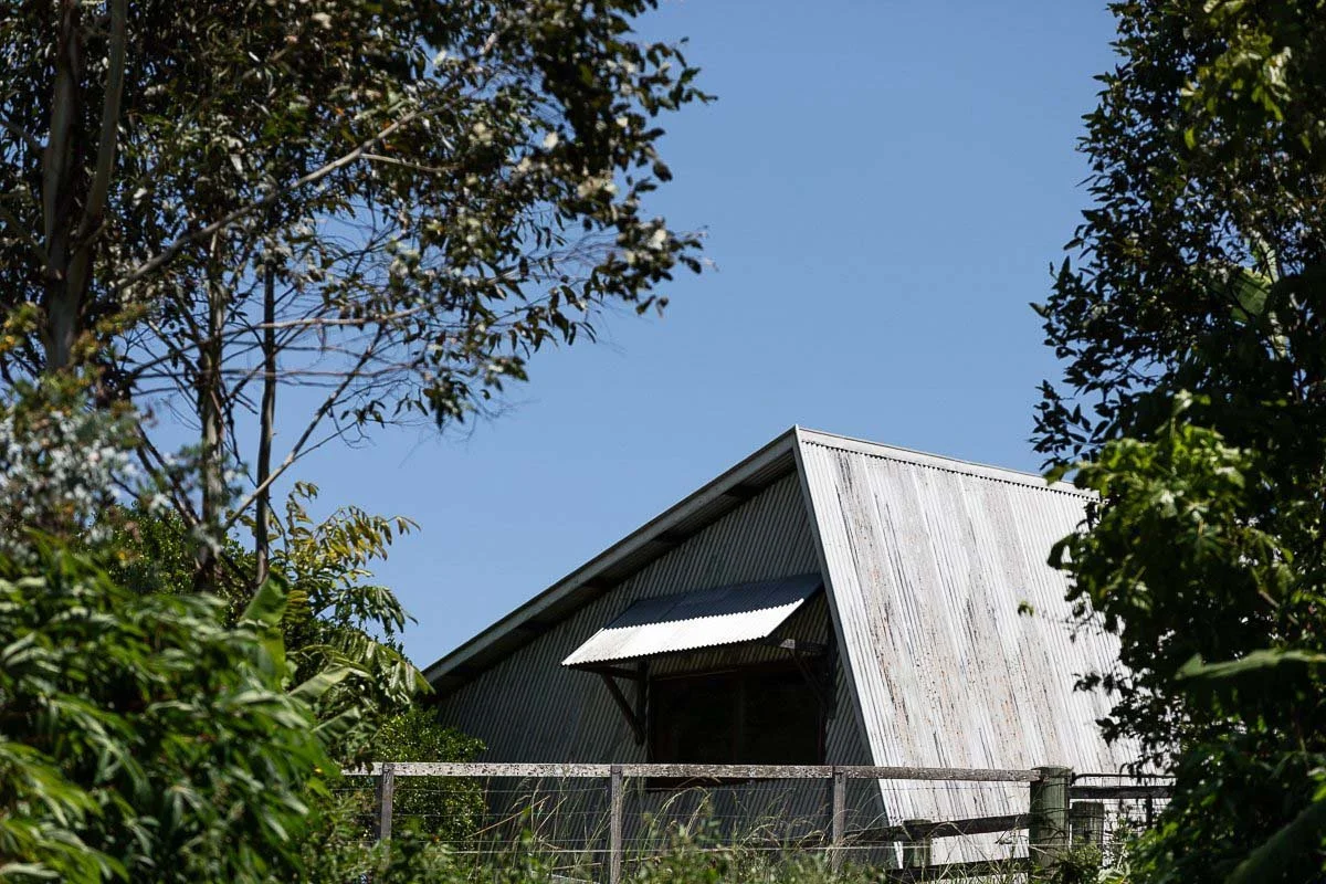 A weathered, corrugated metal barn with a sloped roof, partially obscured by trees and surrounded by a wire fence, under a clear blue sky.