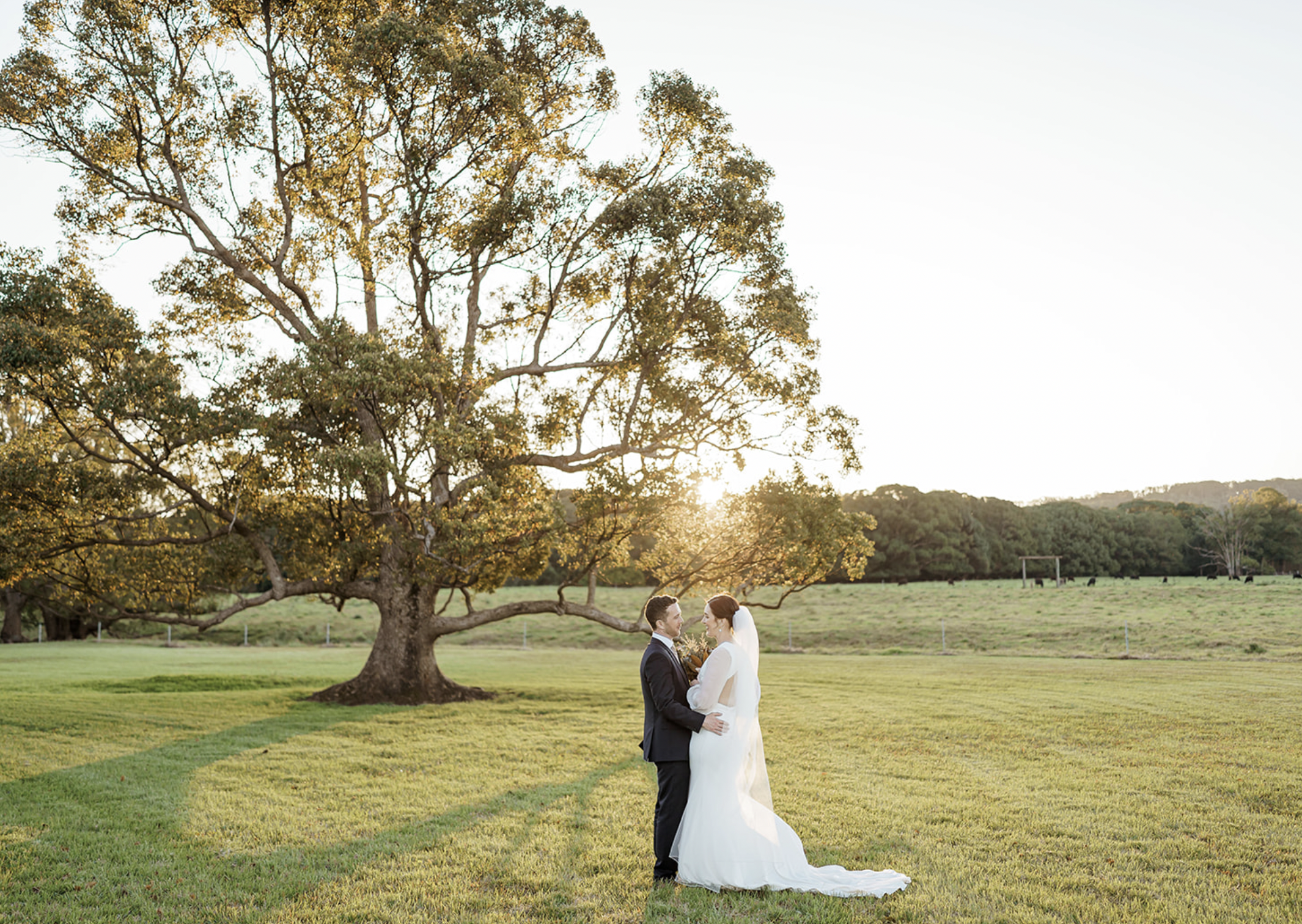 wedding photo