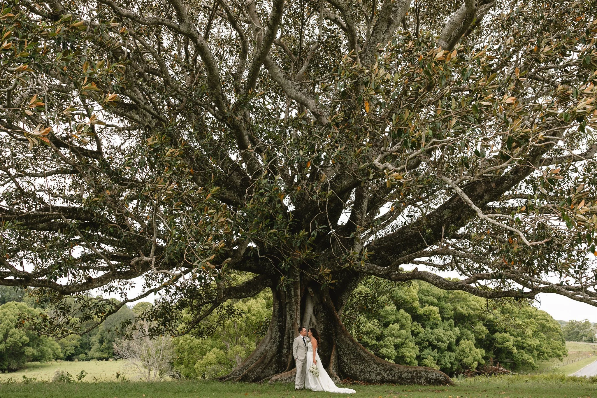 wedding photo