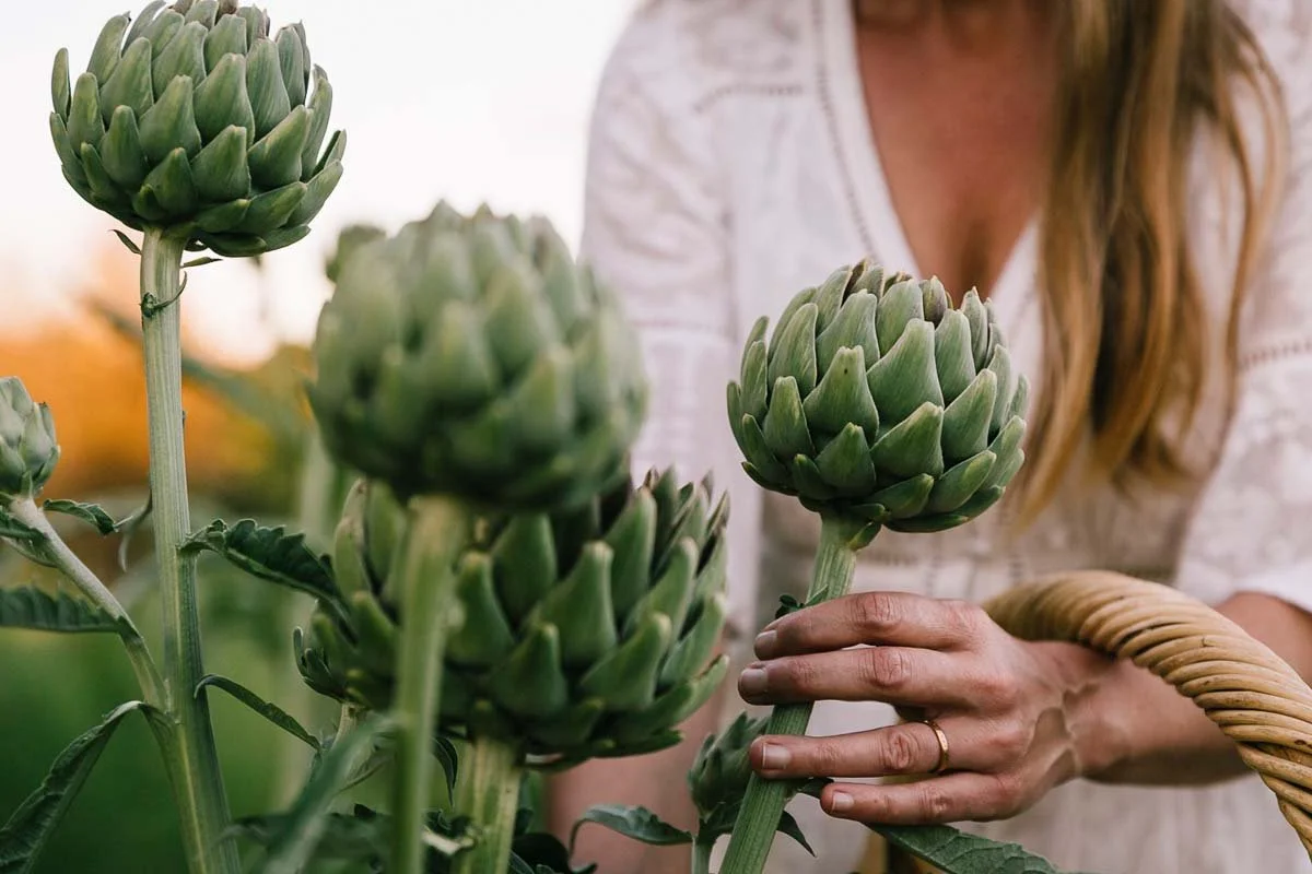 ORGANIC GARDENING