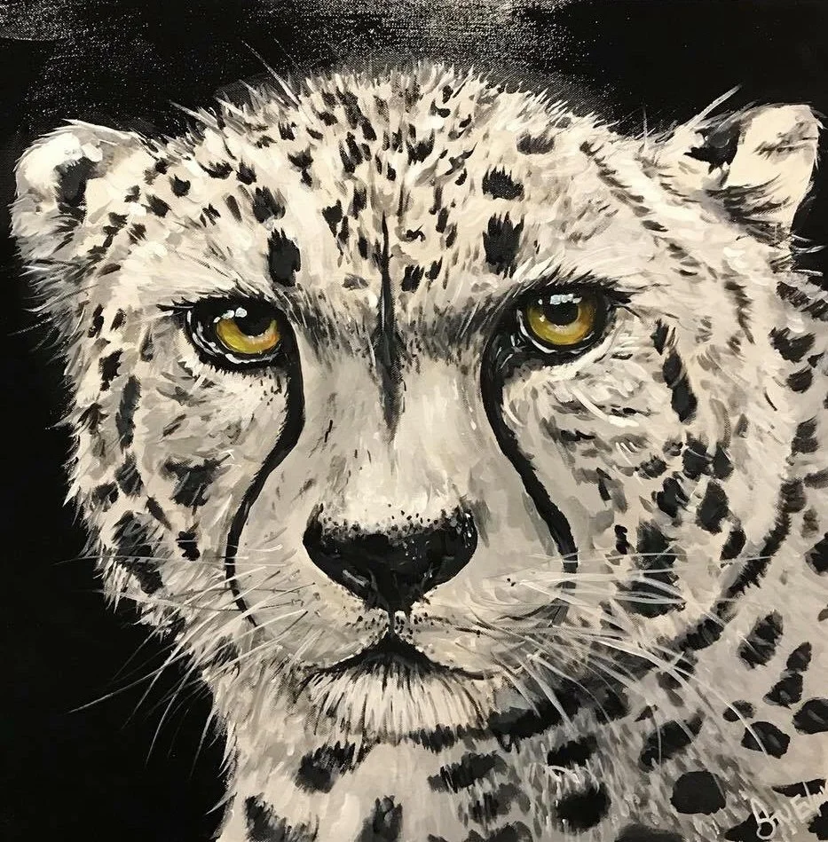 Cheetah