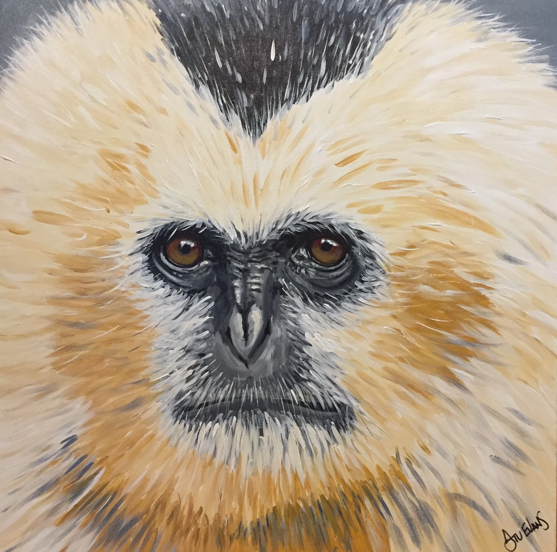 Gibbon