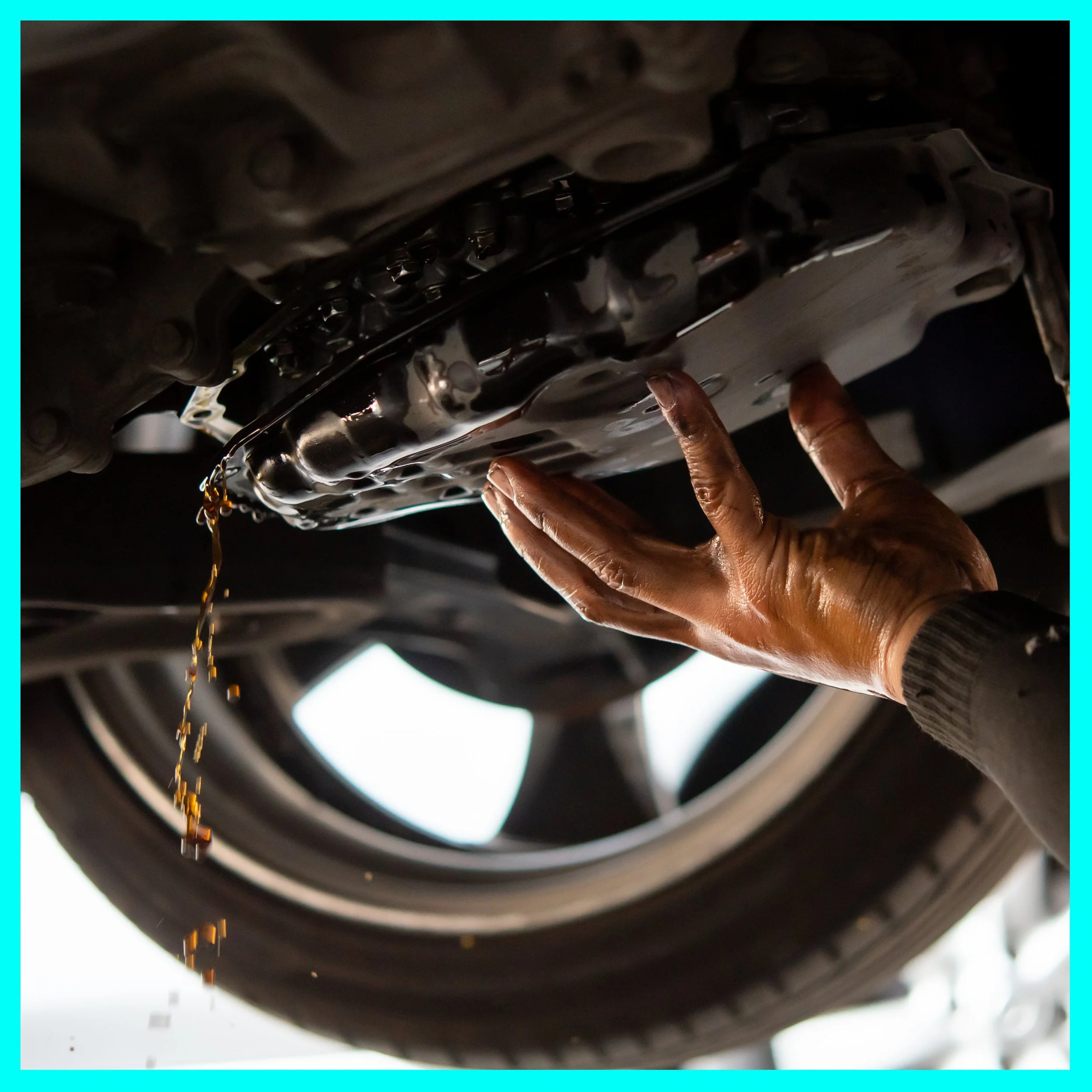 Trans. Flush Thumbnail.jpg