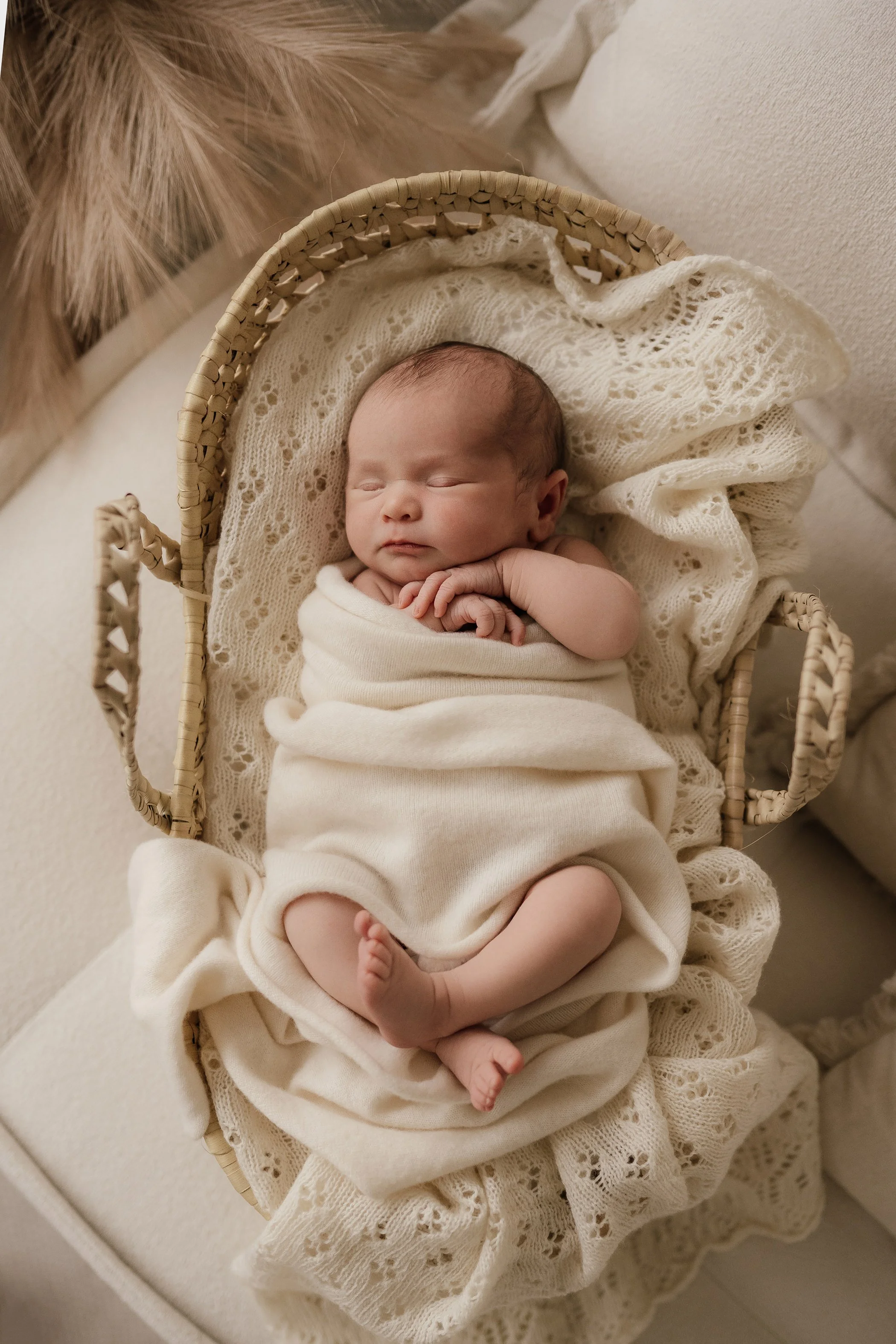 Newborn baby sleeping in a basket, wrapped in a cream blanket, with lace and fur textured blankets surrounding.