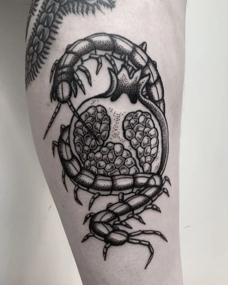 juoksujalkainen granaattiomena tatuointi centipede tattoo