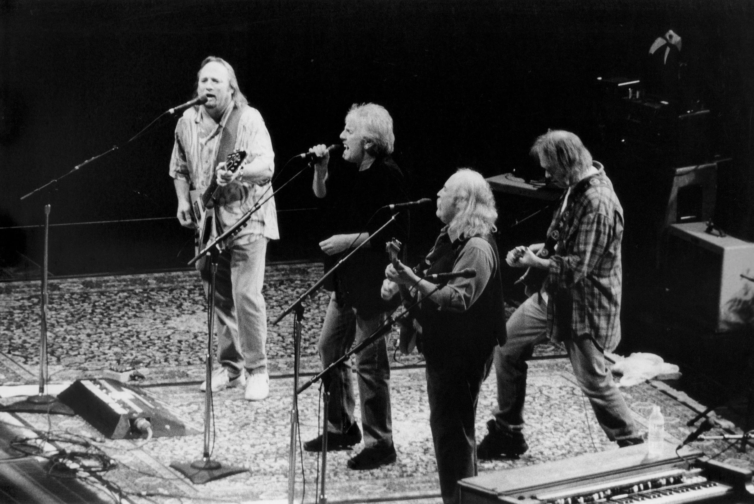 CSNY Rosegarden 02_01.jpeg