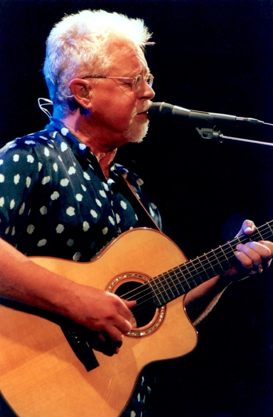 Bruce Cockburn McDonald Theatre 06_04.jpg