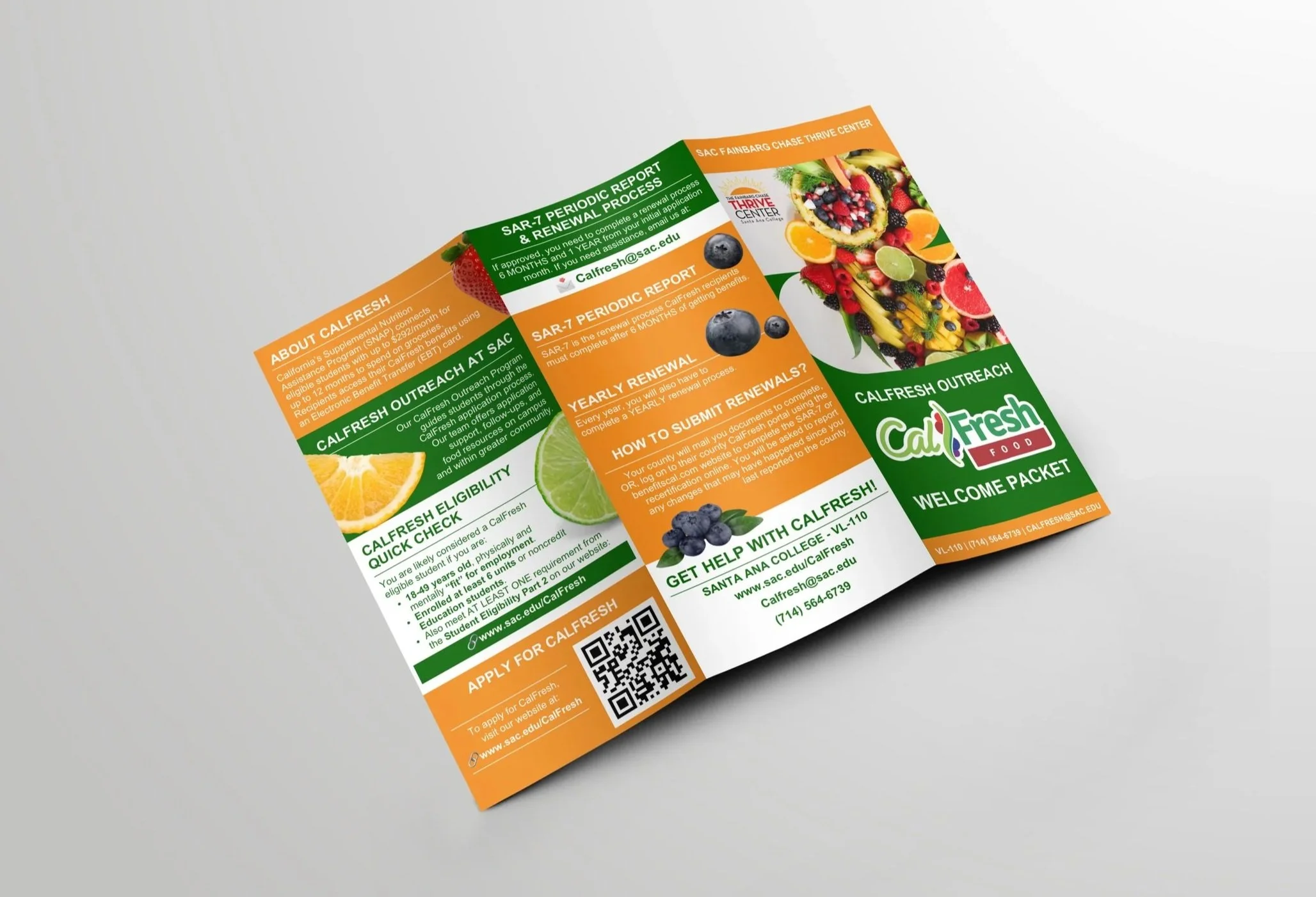 Trifold+Booklet.jpg