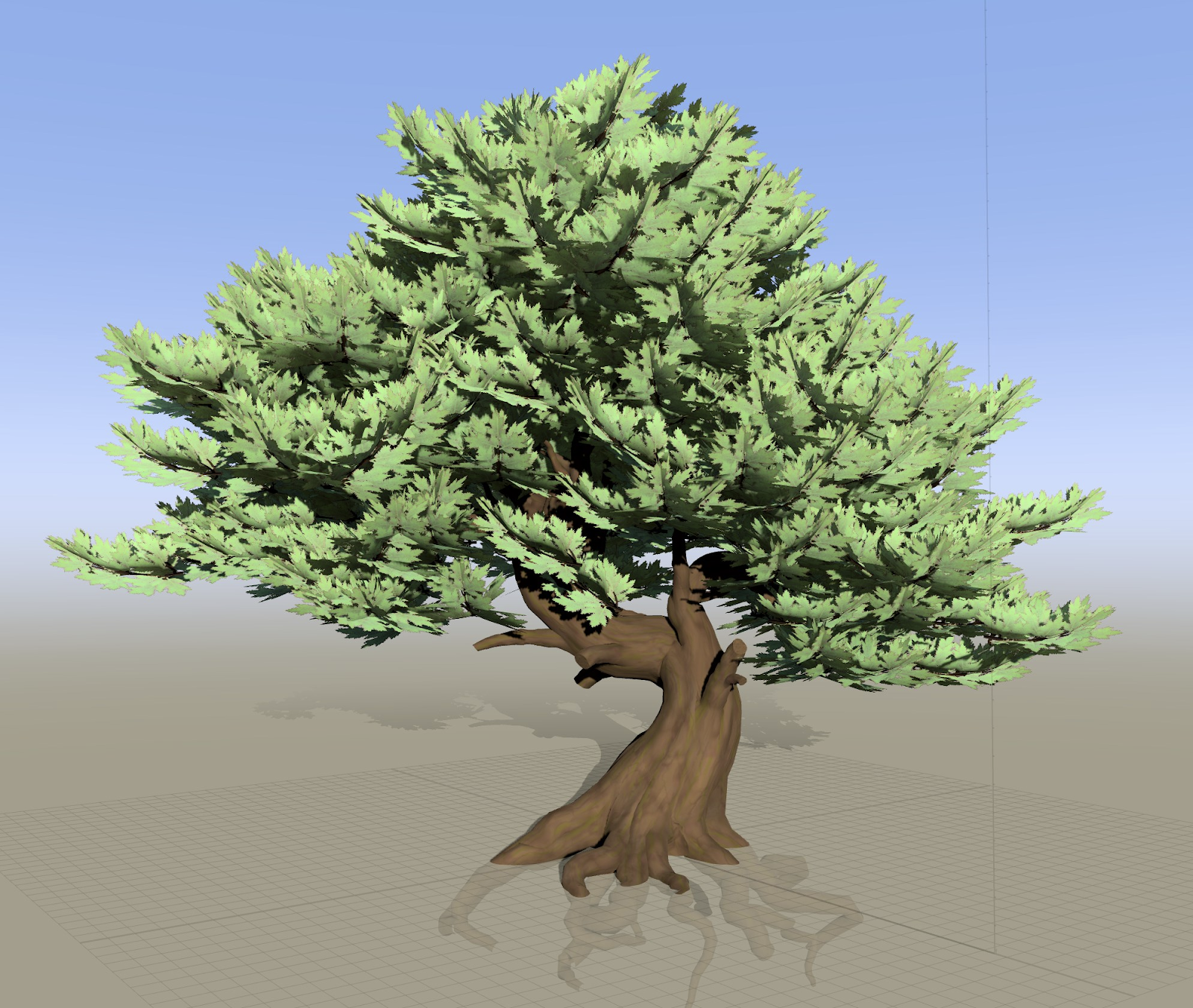 Trees 14 4.25.25.png