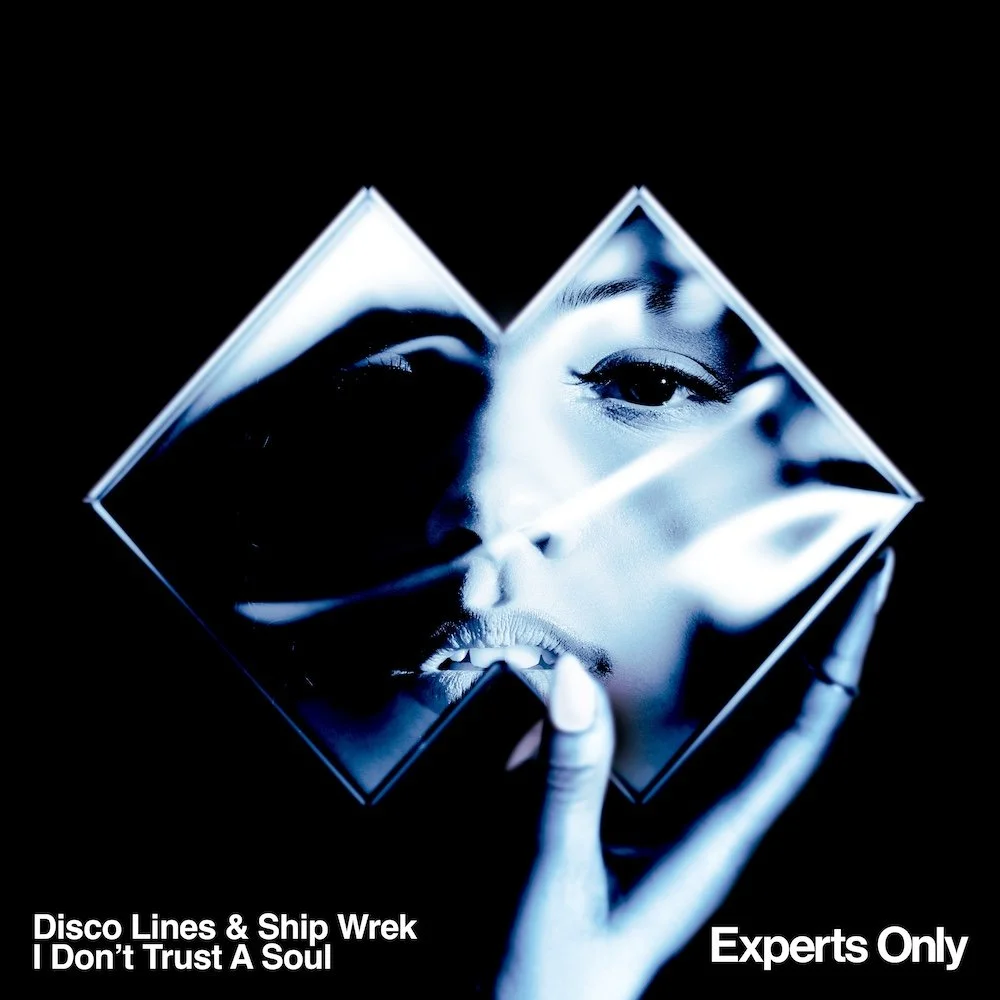 Disc Lines & Ship Wrek "I Dont Trust A Soul" cover art