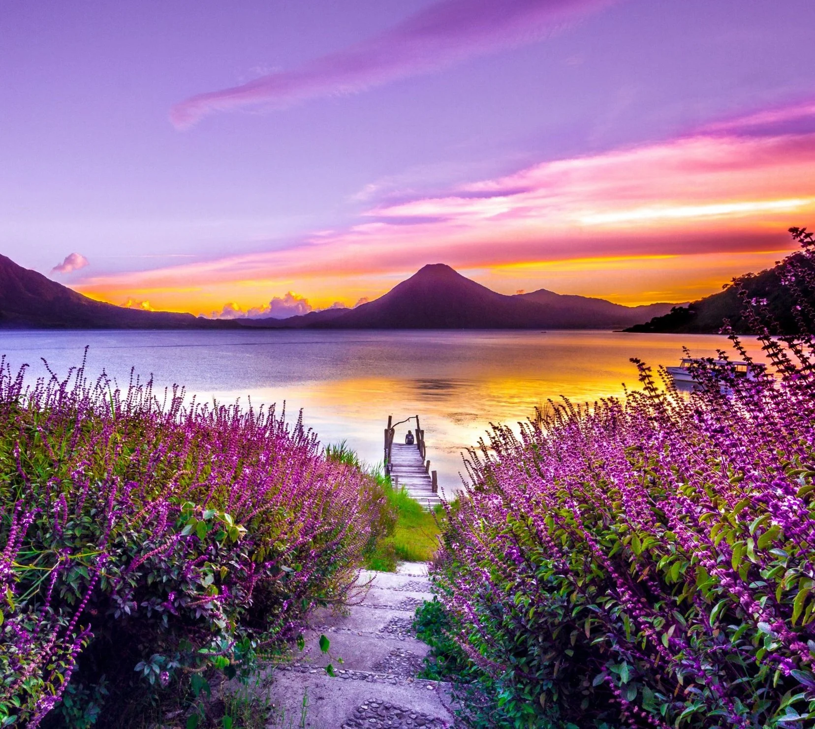 A photo of a sunset with purple, pink and orange sky that is reflected in the water. It is a view looking from a shore over some purple wild flowers across a body of water with mountains in the distance. Photo by Mark Harpur on Unsplash.