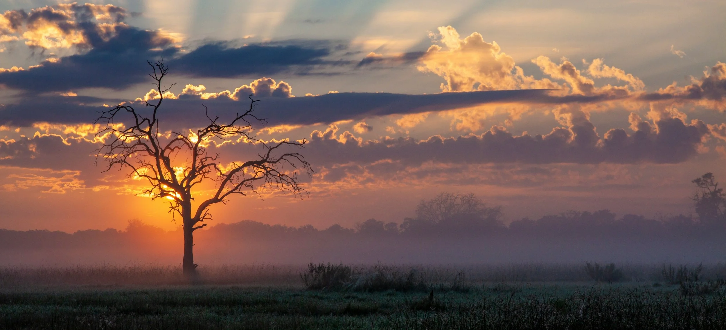 surviving to thriving ADHD academic. Neurodivergent career coaching Australia