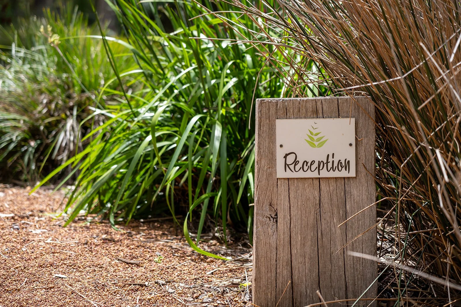 Grounds-03.jpg