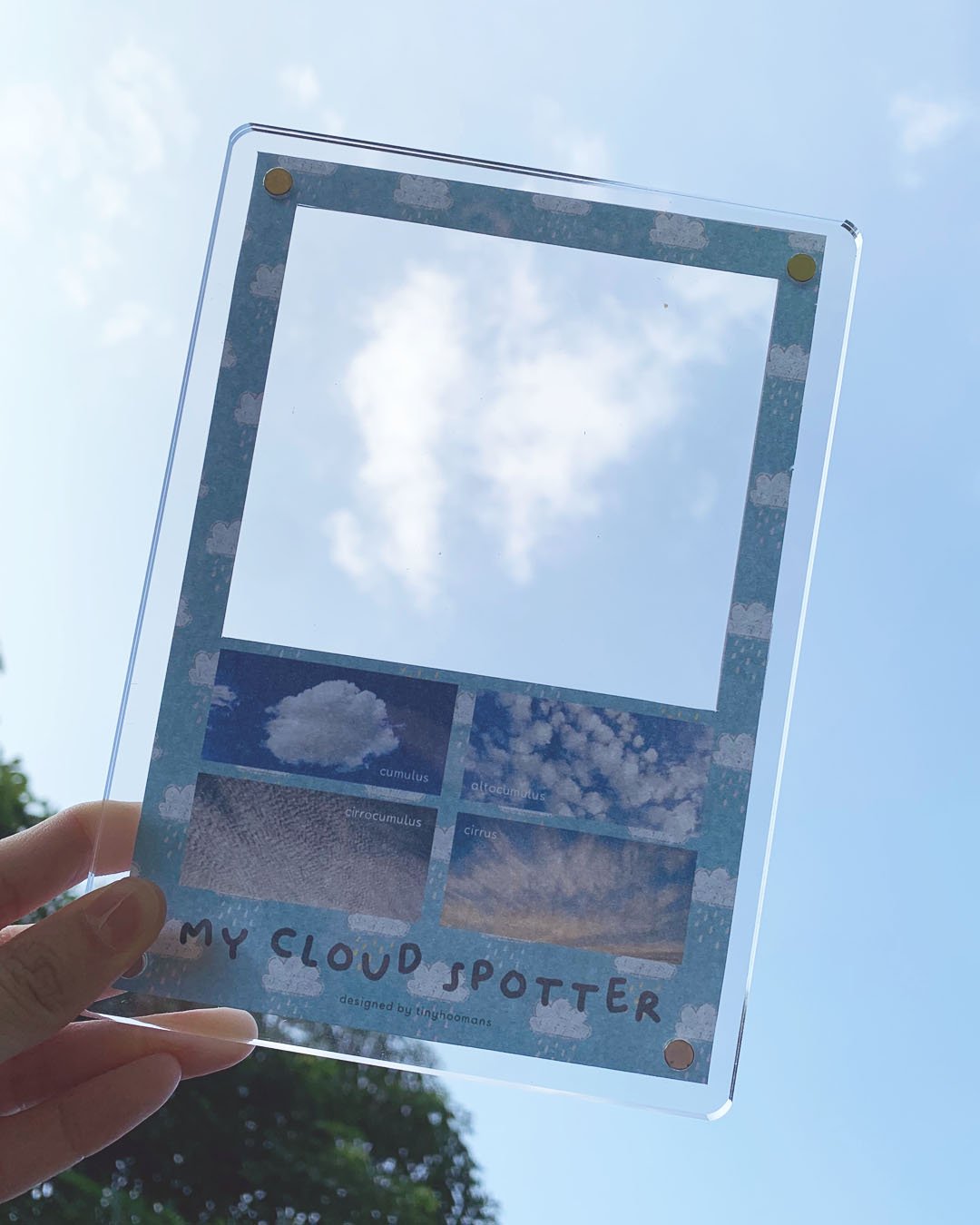 Big Acrylic Frame.jpg