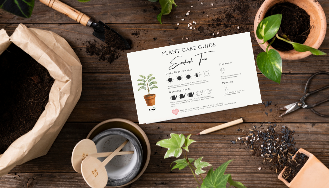 Copy of mockup everfresh card.png