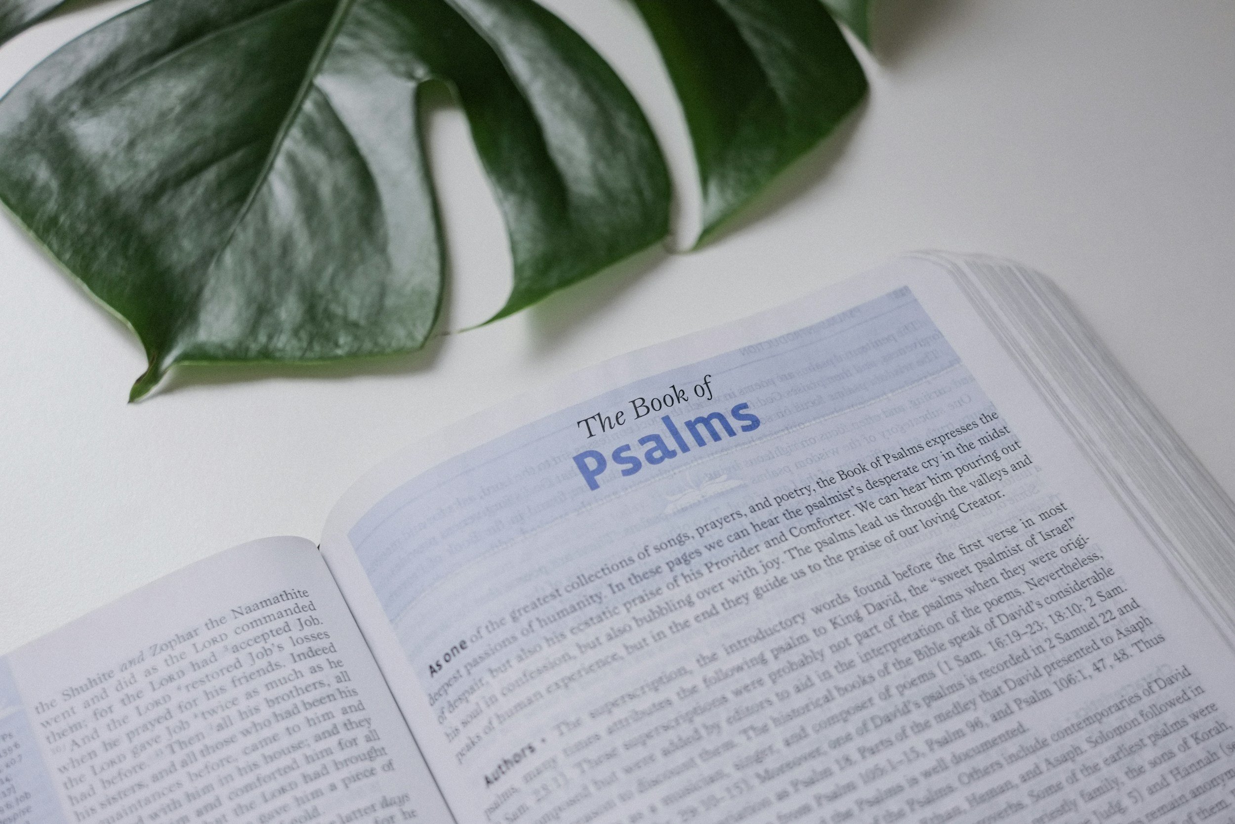 The Gospel In The Old Testament Book Of Psalms - PART 1 (Psalm 2:1-12)