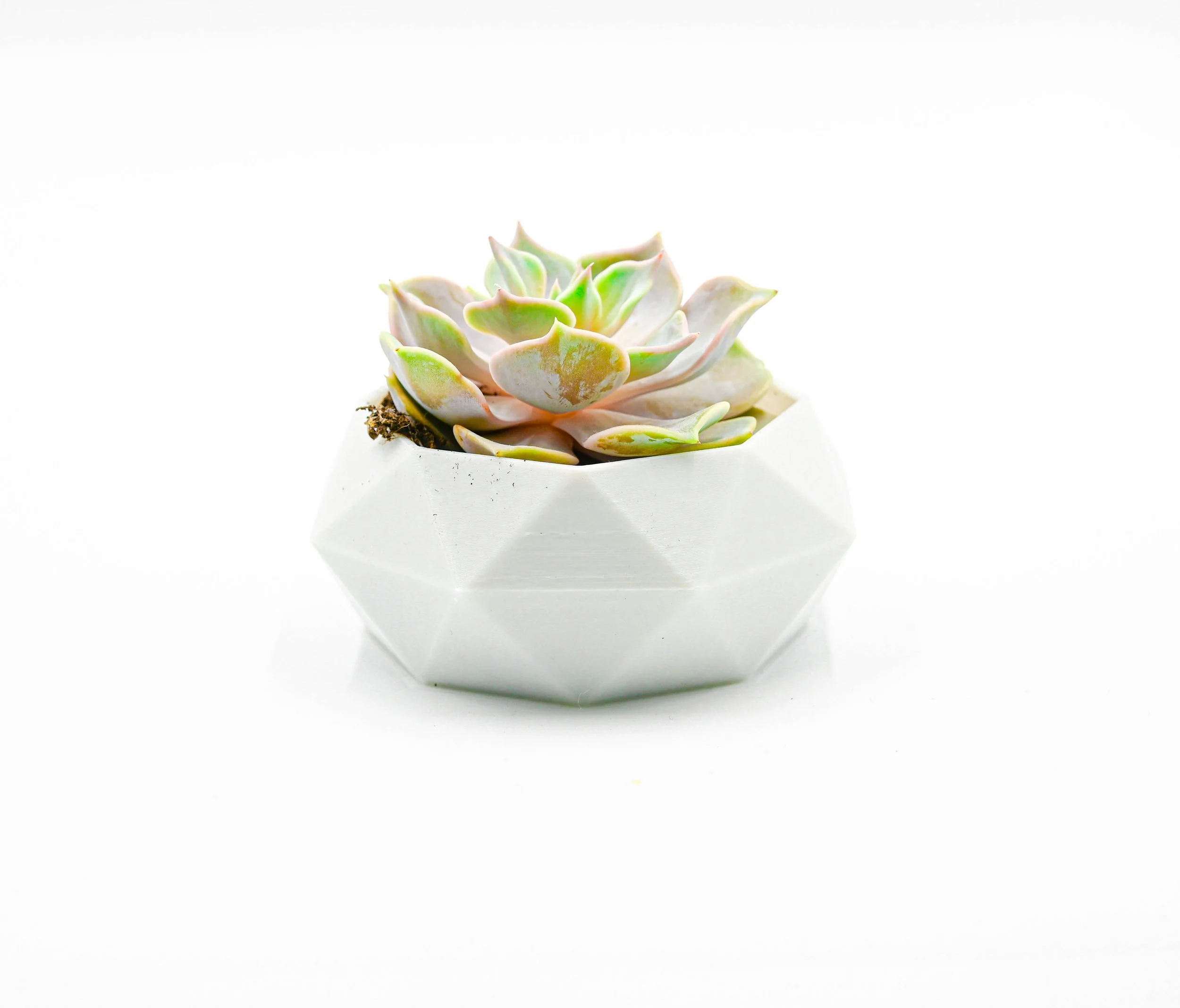 Test 1 - Small plant pot.jpg