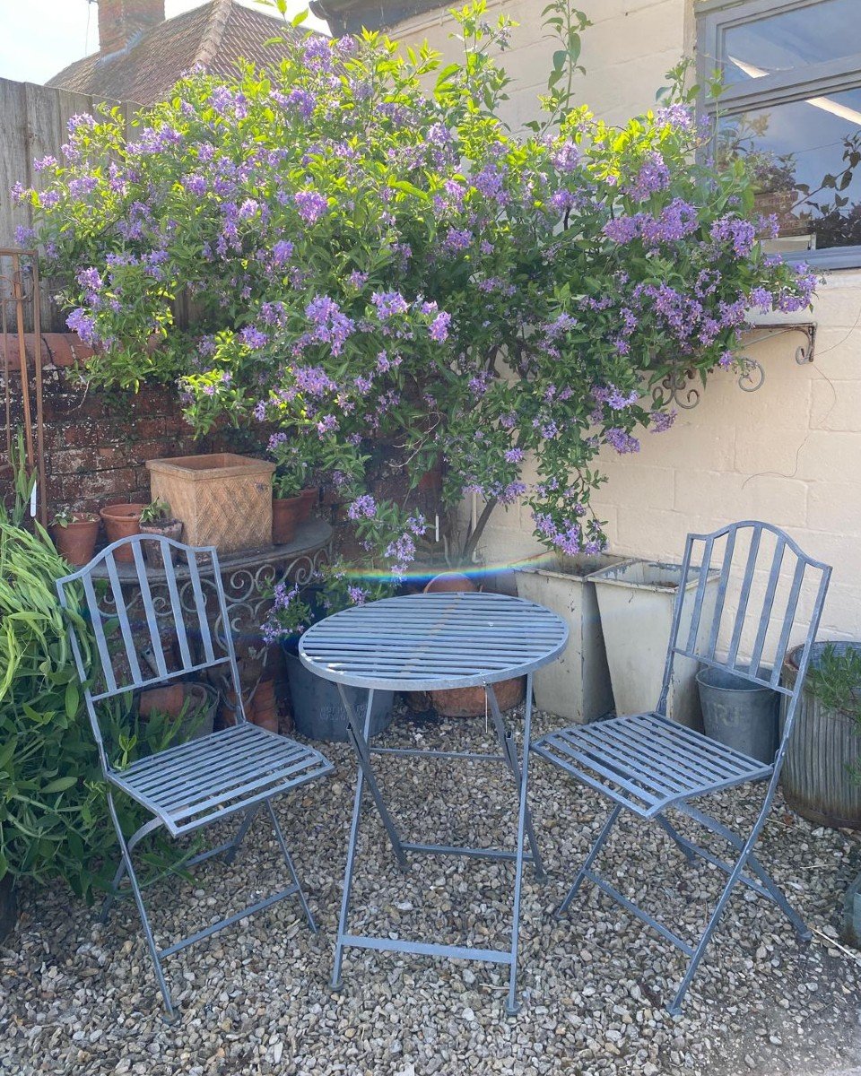 As most of you know we're an old dairy and the building is cleverly positioned NEVER to get any sun (great for the milk...less great for The Inner Yard team!). Deborah captured this beautiful shot earlier this week - a little corner of the garden wit