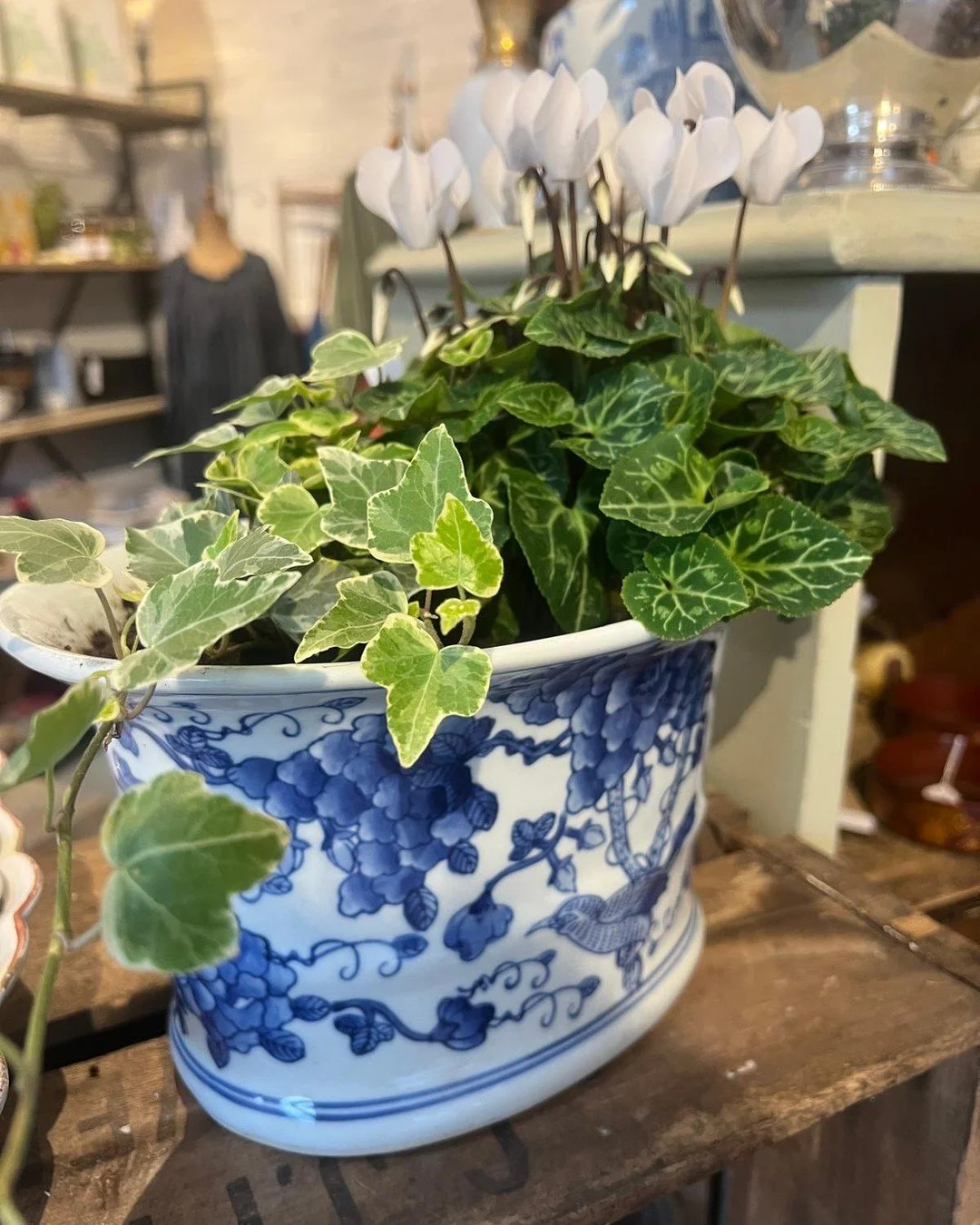 Beth's plants are back! She's been remarkably organised and has been collecting old containers all year, ready to plant up for the Autumn season. A lovely two in one gift 🥰

#theinneryard #independentgiftshop #shoplocaldevizes #smallshoplove #devize