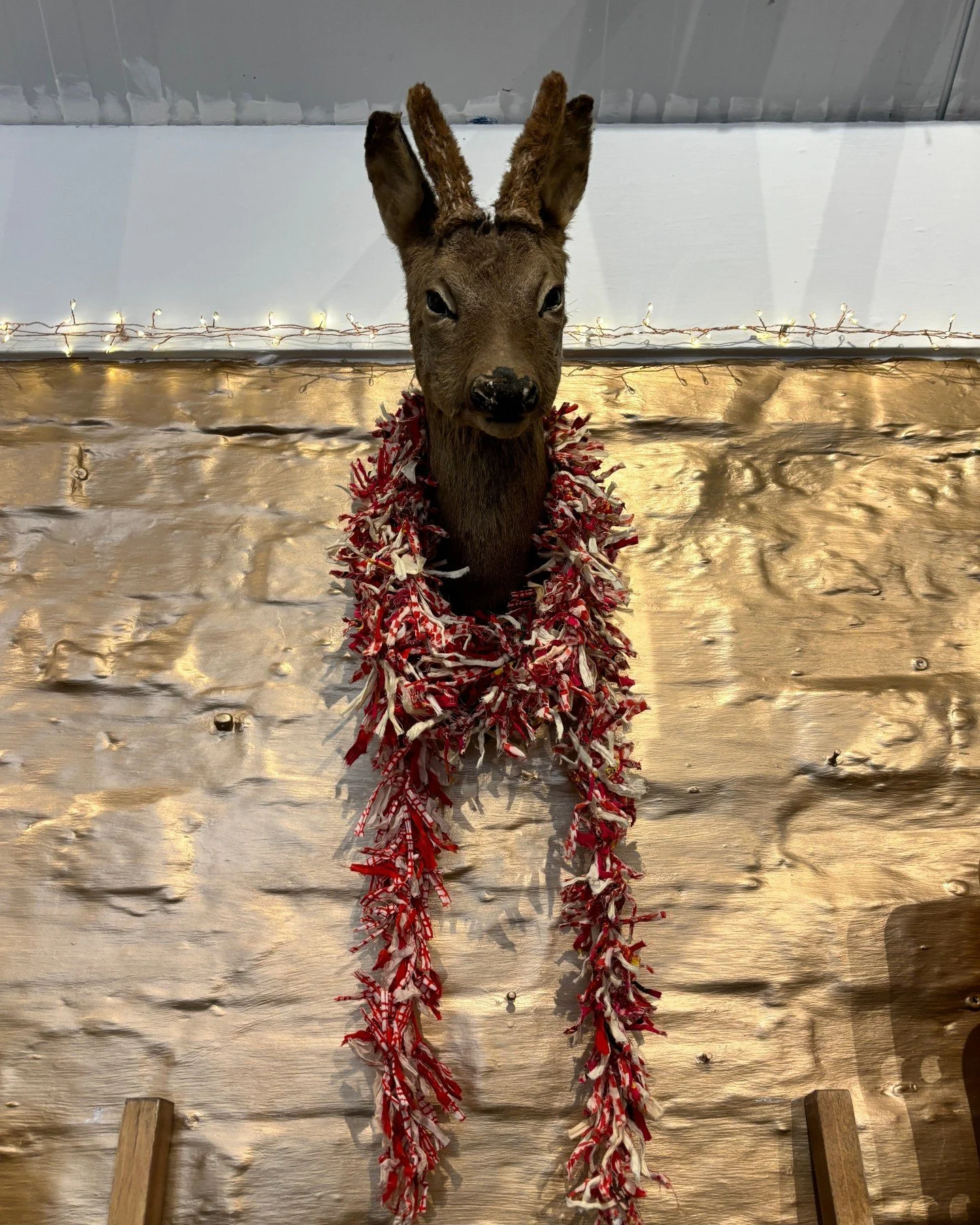 We always like the team to feel fully involved in Christmas! What will 'Bambi' be wearing this year 🤔

#theinneryard #independentgiftshop #shoplocaldevizes #smallshoplove #devizes #wiltshire #indiedevizes