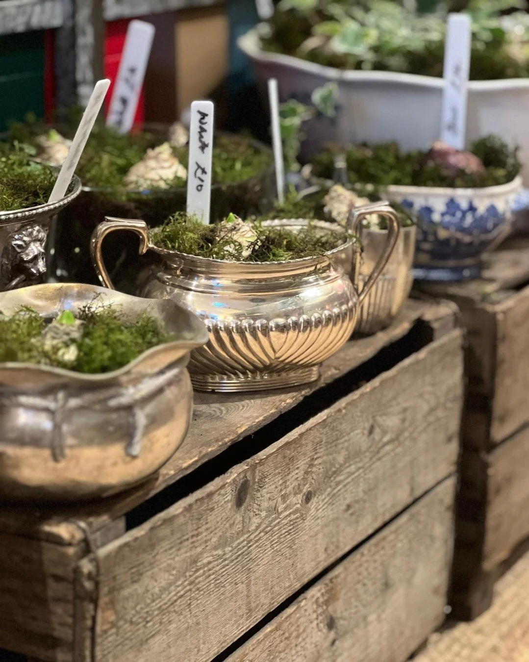 ❗Public Service Announcement❗

The Hyacinths are back! Beth has been busy potting up all the lovely vintage containers she's been collecting all year and there is now a lovely display in the shop. She'll keep feeding them in when she gets a chance to