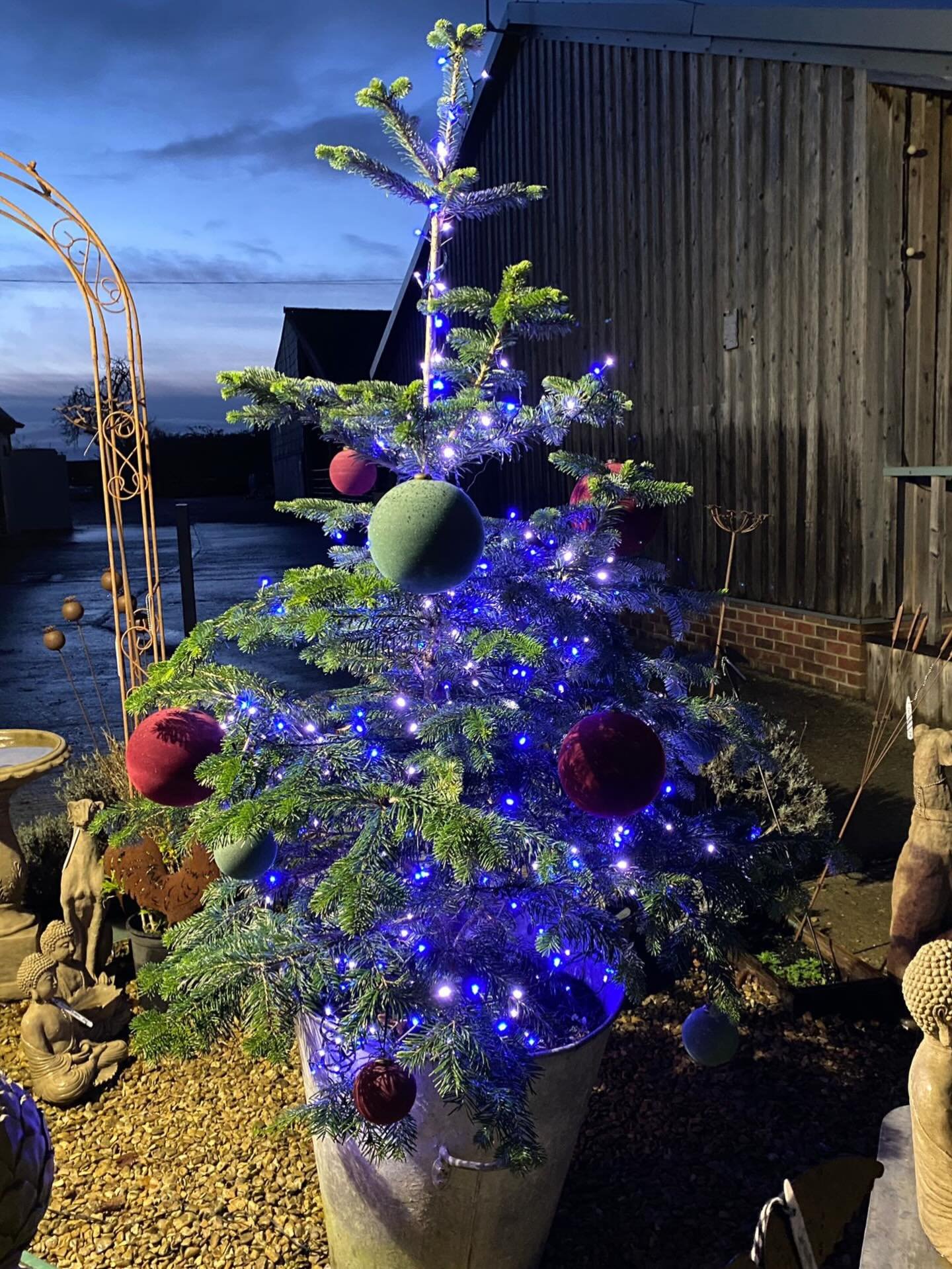 The Christmas tree is up (Beth chose an especially nicely shaped one from across the yard!) so the festive set up is complete. December we&rsquo;re ready for you! 🎄🎅🎄 

#theinneryard #independentgiftshop #shoplocaldevizes #smallshoplove #devizes #