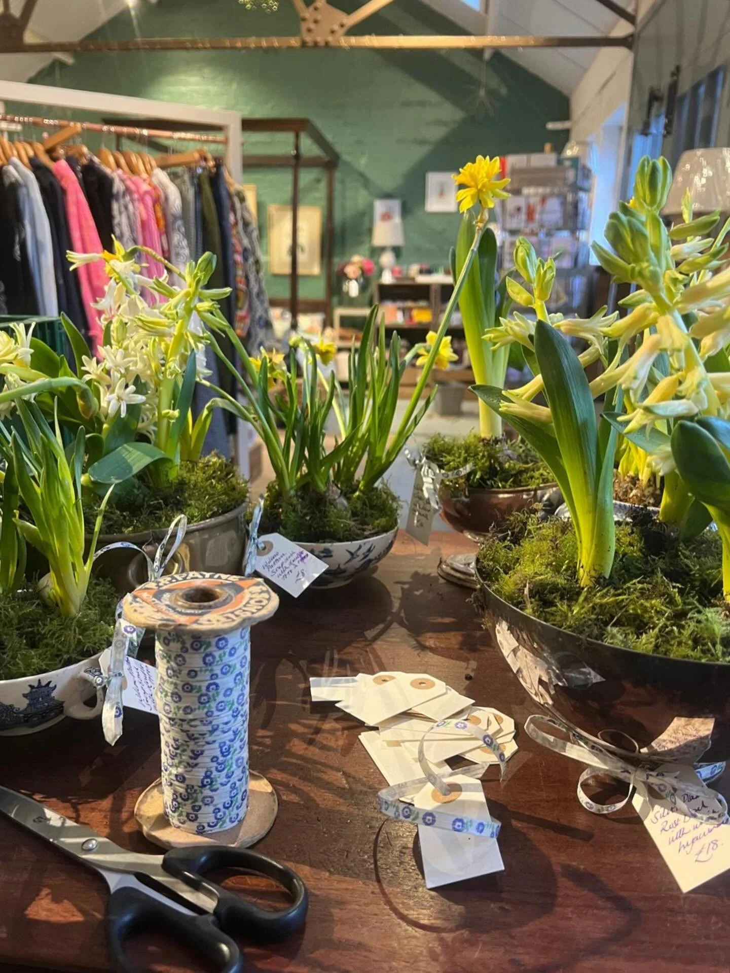 The perfect Spring picture for St David&rsquo;s Day - Beth has popped into the shop and turned lots of lovely old containers into lovely new planters! 🌼🌼🌼

#theinneryard #independentgiftshop #shoplocaldevizes #devizes #indiedevizes