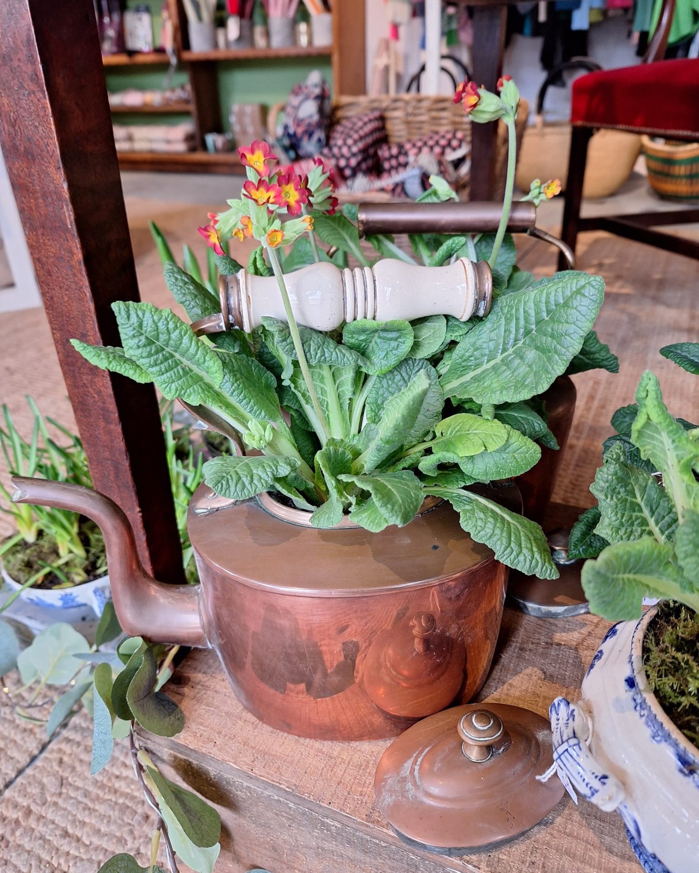 Liz and Beth have been busy planting up some lovely old pots and kettles - perfect for a little gift this weekend! 

#theinneryard #independentgiftshop #shoplocaldevizes #devizes #wiltshire