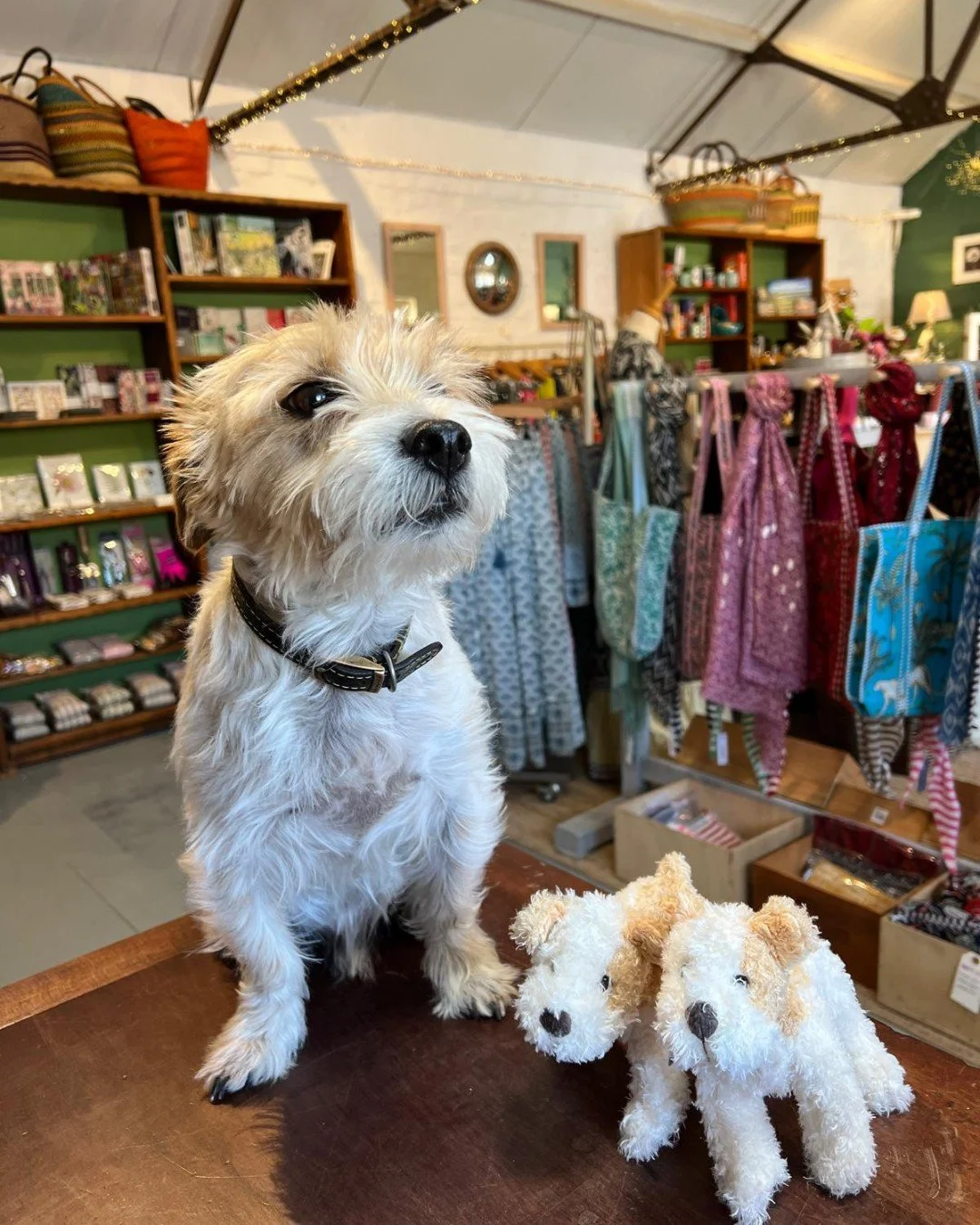Imagine wandering into a shop and finding yourself in furry form! We loved having Paddy in to visit - as you know dogs are always very welcome 🐾 🐶 🐕 🐩 🐾

#theinneryard #independentgiftshop #shoplocaldevizes #devizes #wiltshire