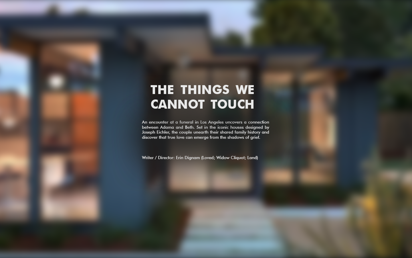the things we cannot touch5.png