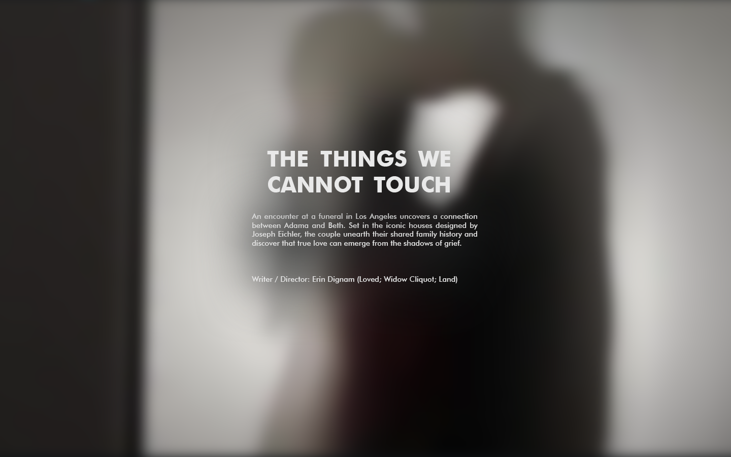 the things we cannot touch4.png