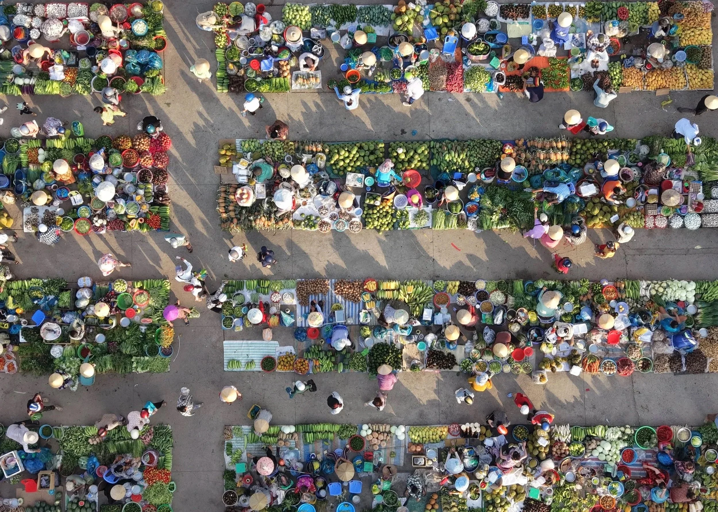 DJI_20260509064041_0173_D.jpg