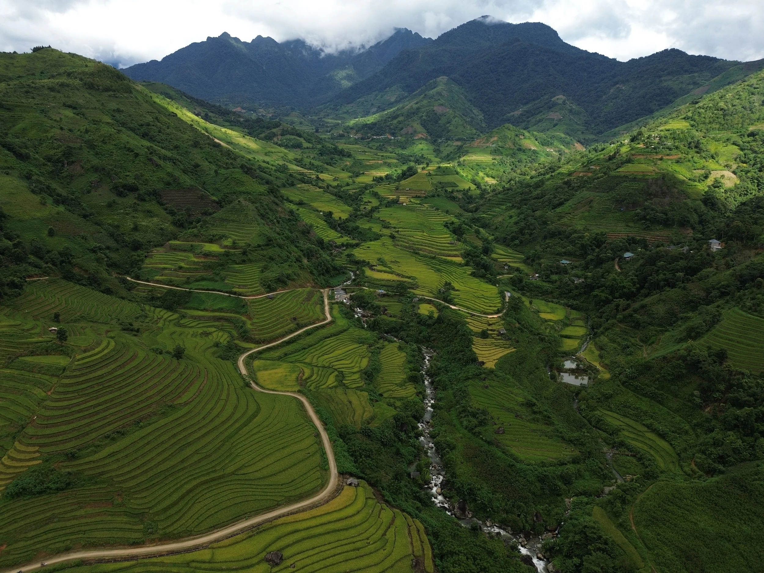 Rice valley, Lai Chau