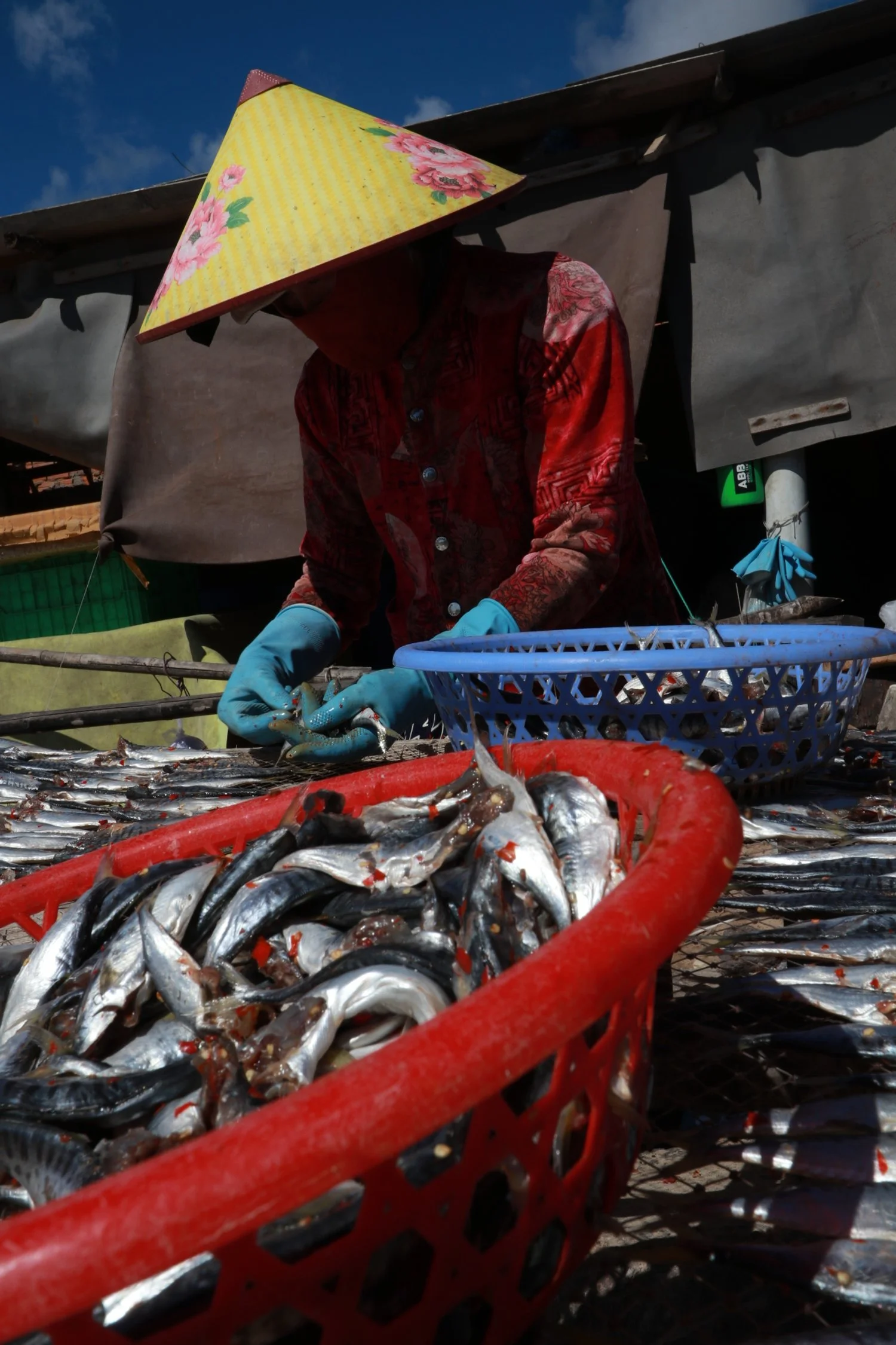 Phuoc Hai Fisherwoman