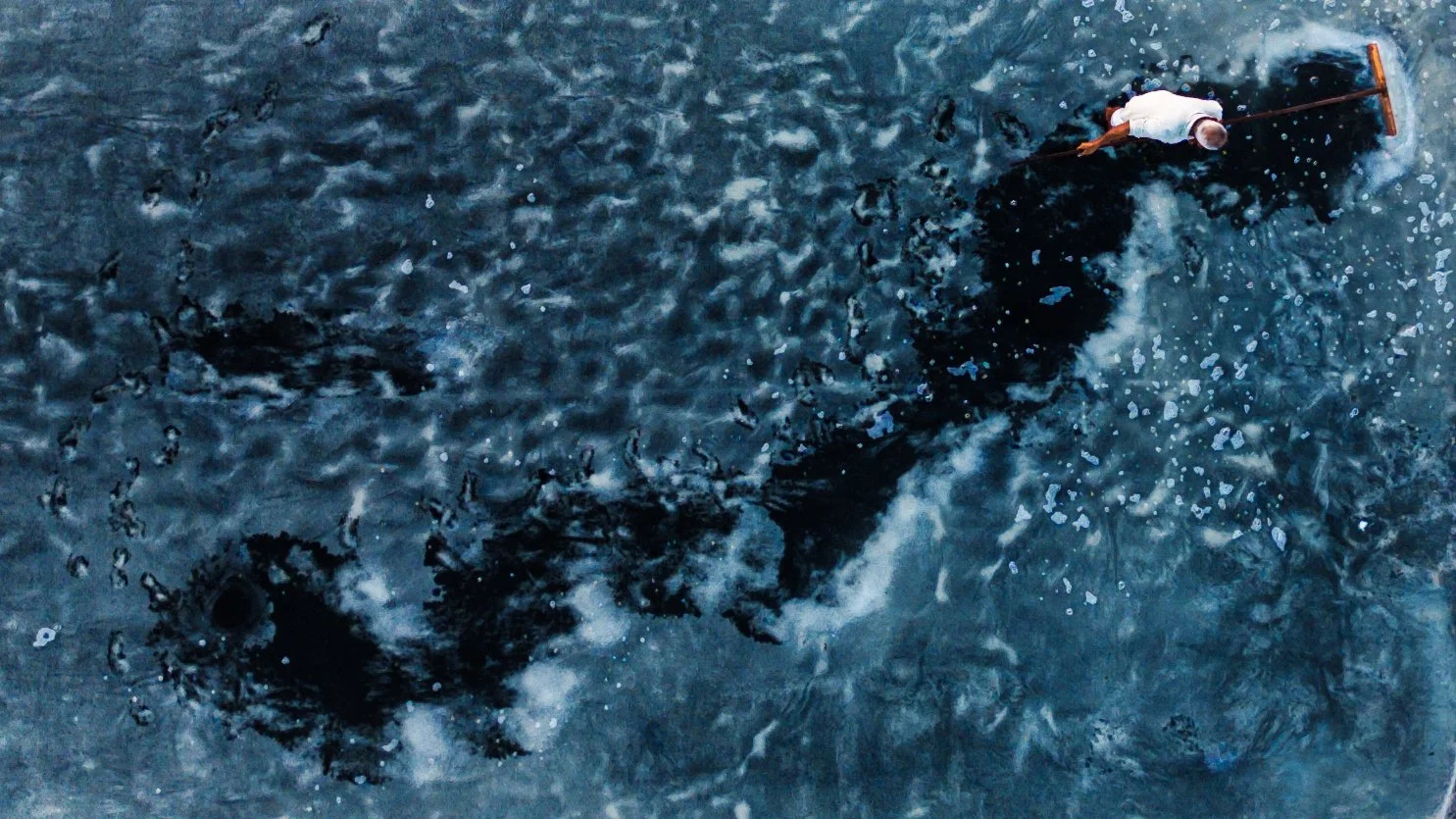 Salt sweeper, Long Dien