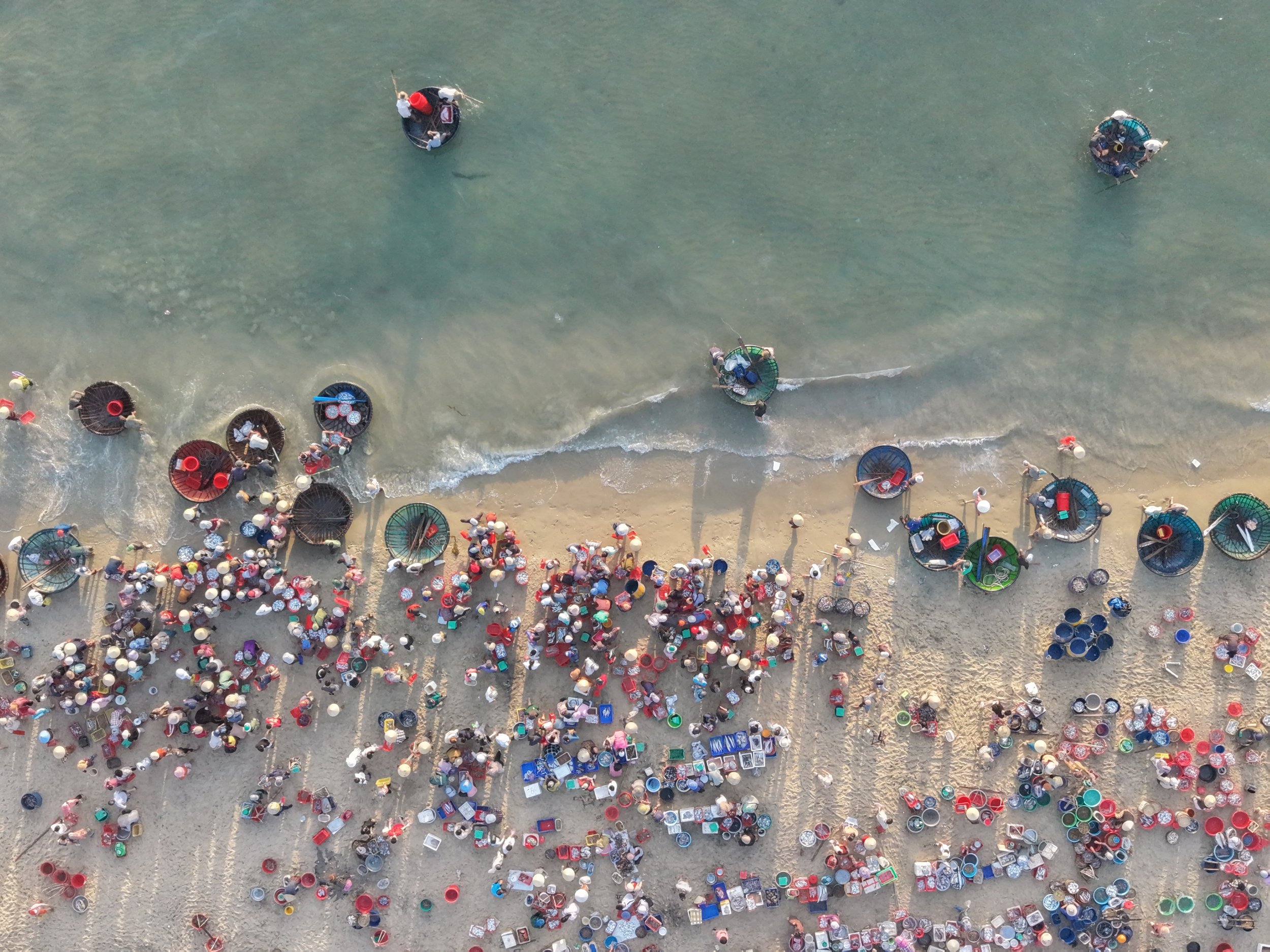 DJI_20260529054946_0320_D.JPG