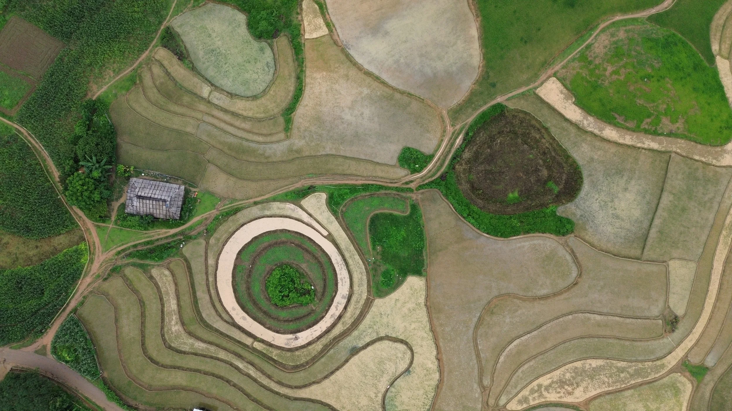 Rice paddies, Dien Bien