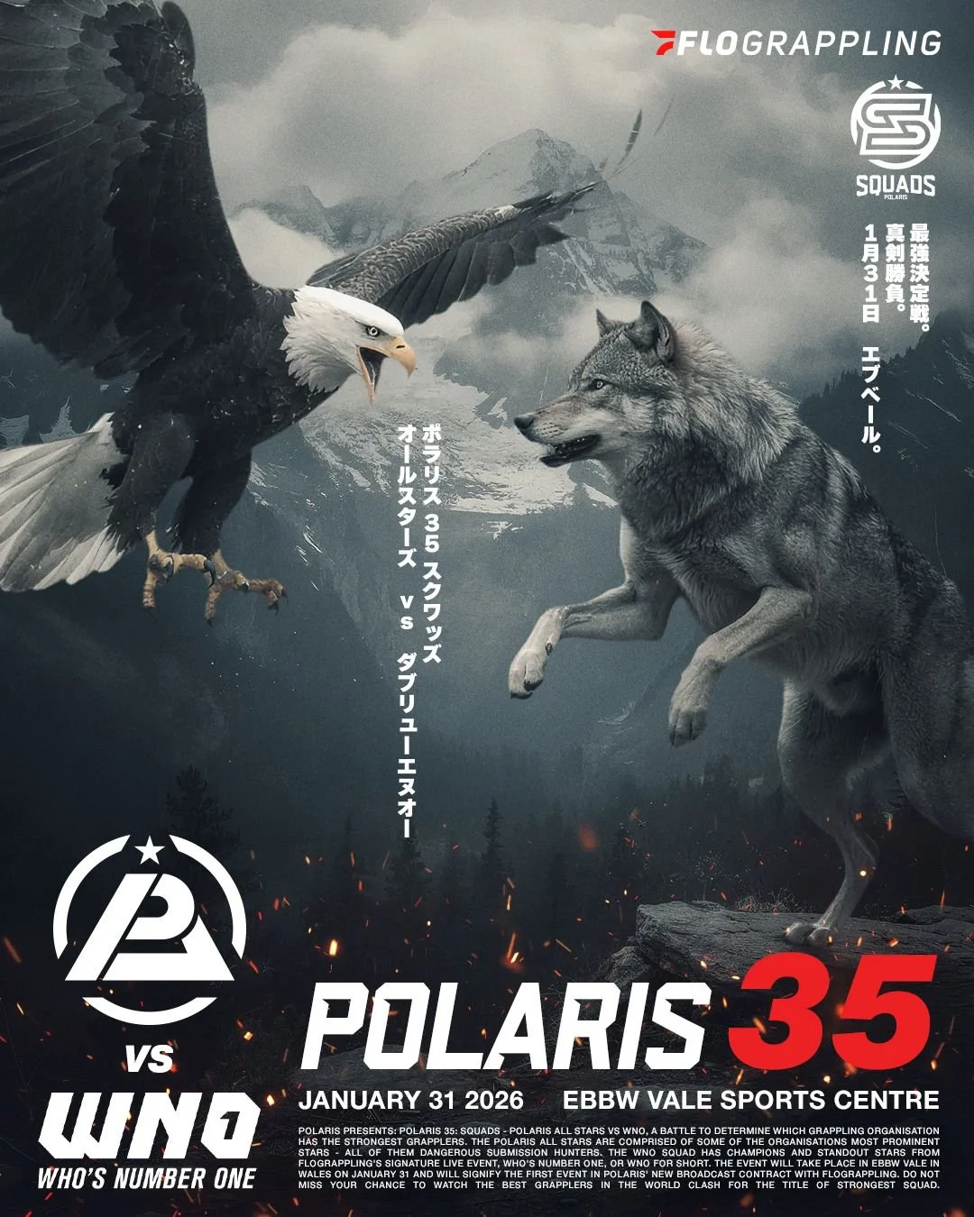 POLARIS 35
