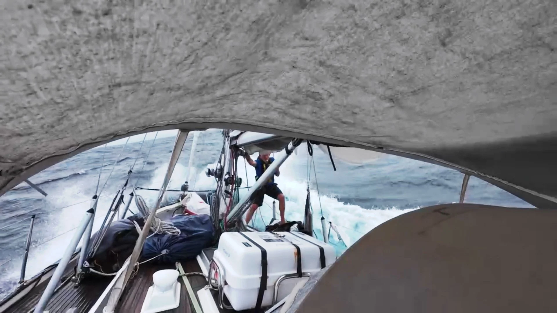 Walrus Crosses Her Wake