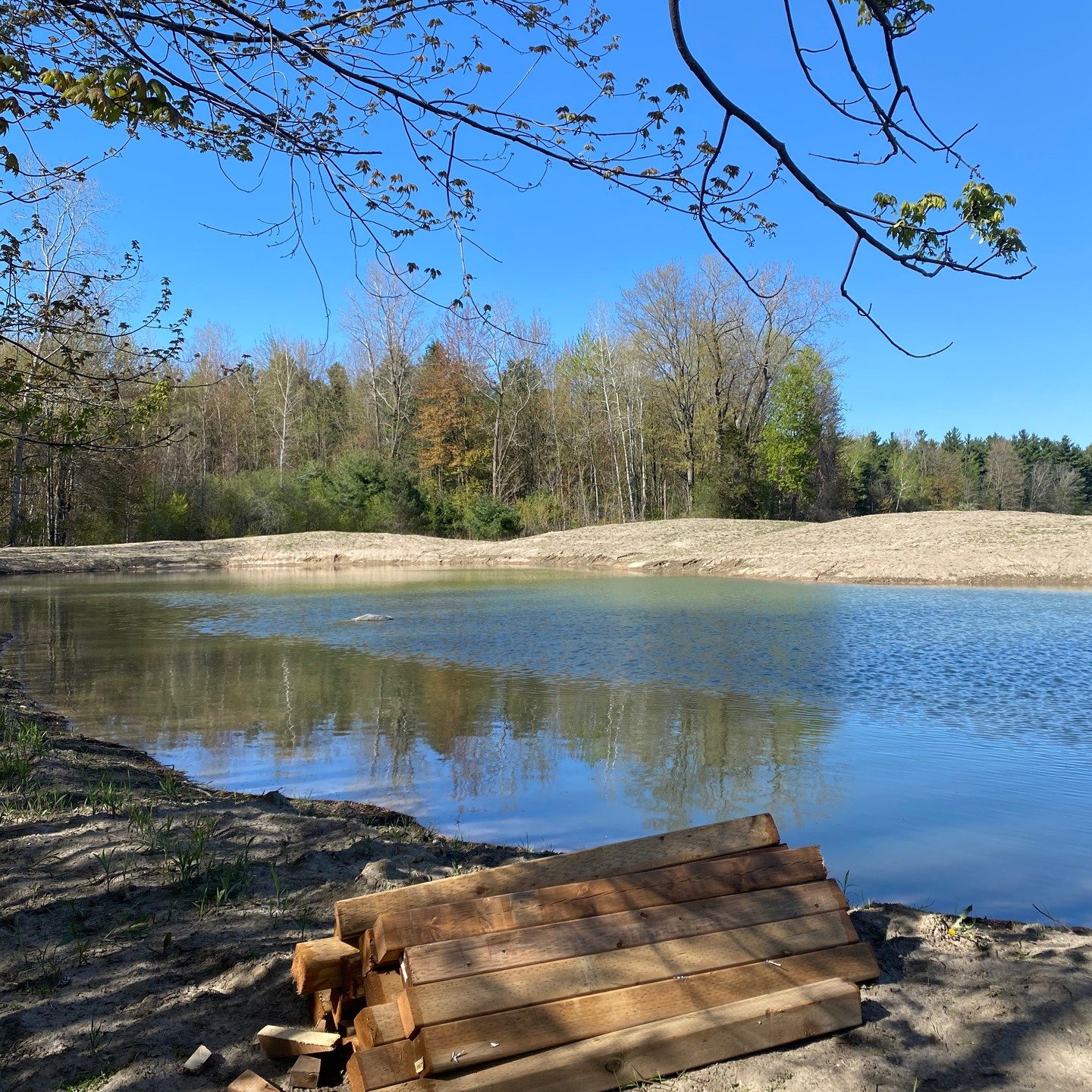 Save the Date: Saturday, June 28th, 2025, from 1-4pm for the Grand Opening for Serenity Nature Reserve. Please join Mayor George Finch at the ribbon-cutting ceremony and enjoy a piece of cake.