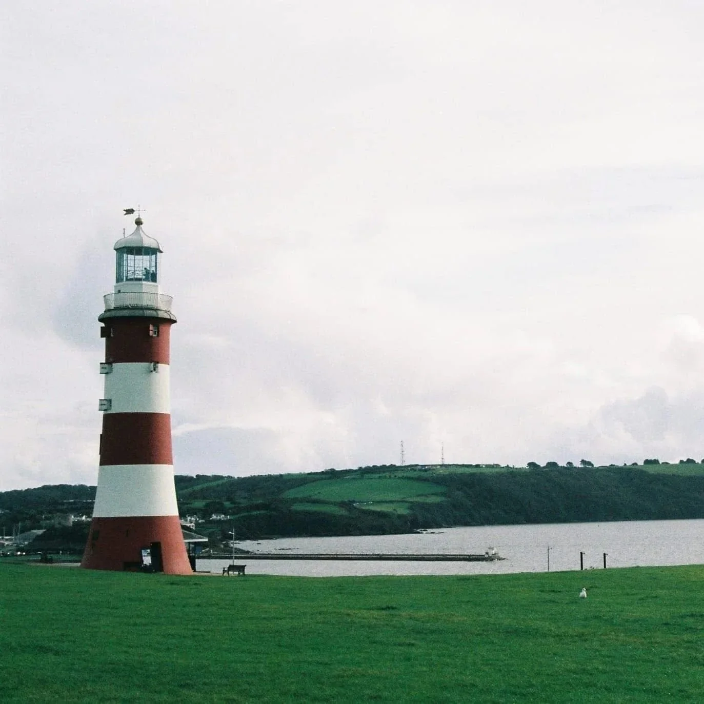 Includiverse Backing the Bid: Plymouth UK City of Culture 2029