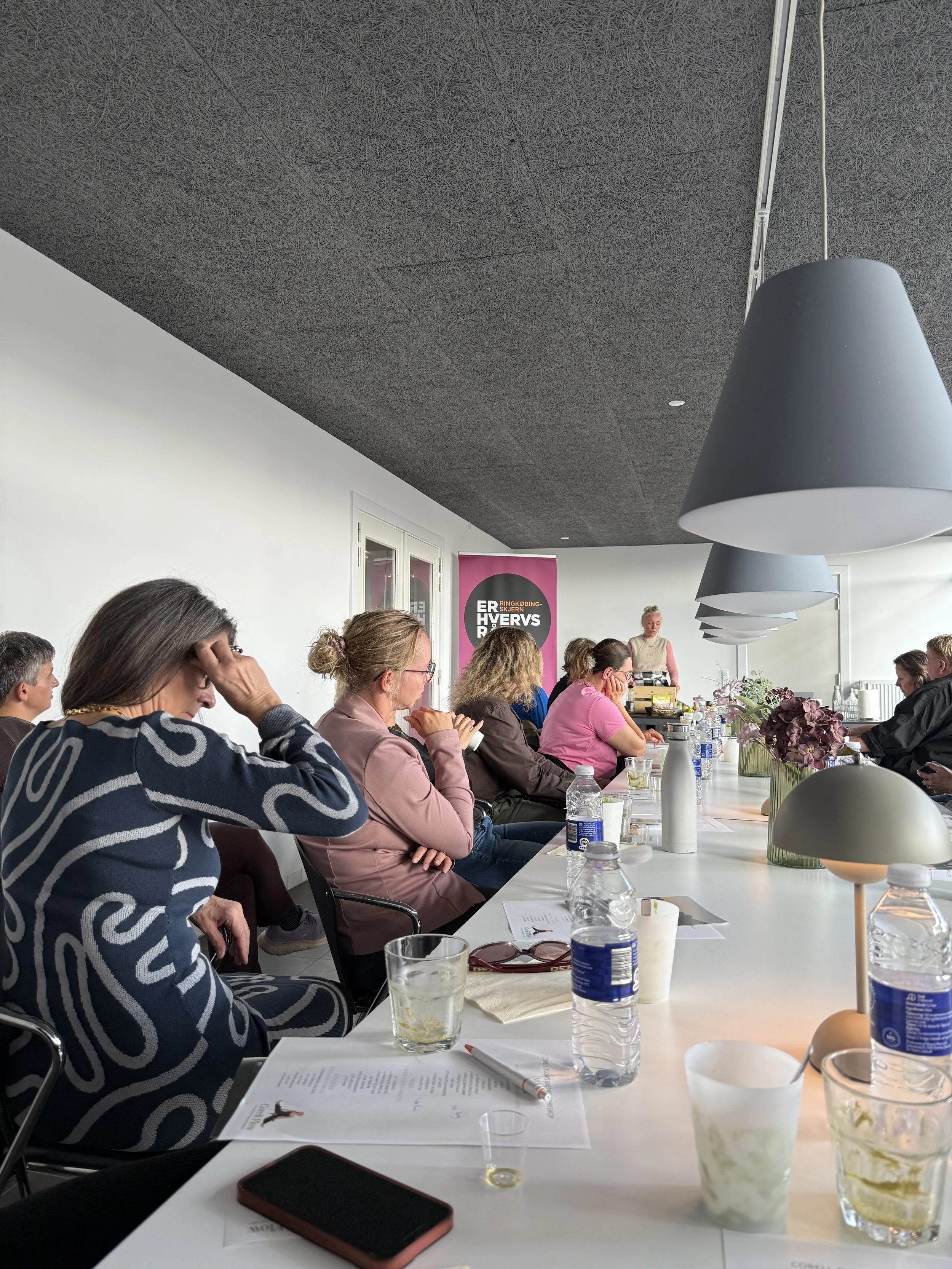 Greenieworkshop for Ringkøbing-Skjern Erhvervsråd