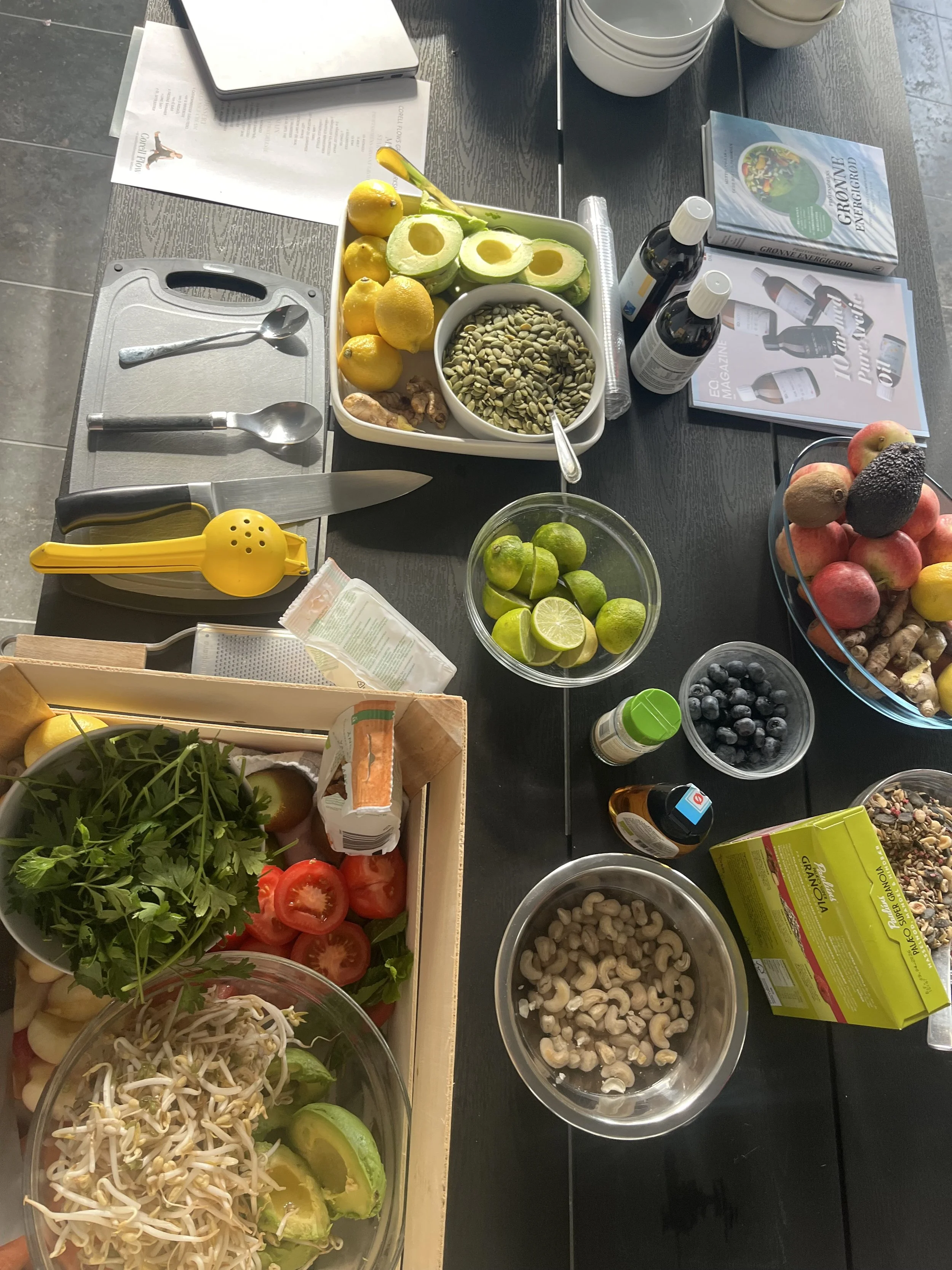 Greenieworkshop for Ringkøbing-Skjern Erhvervsråd
