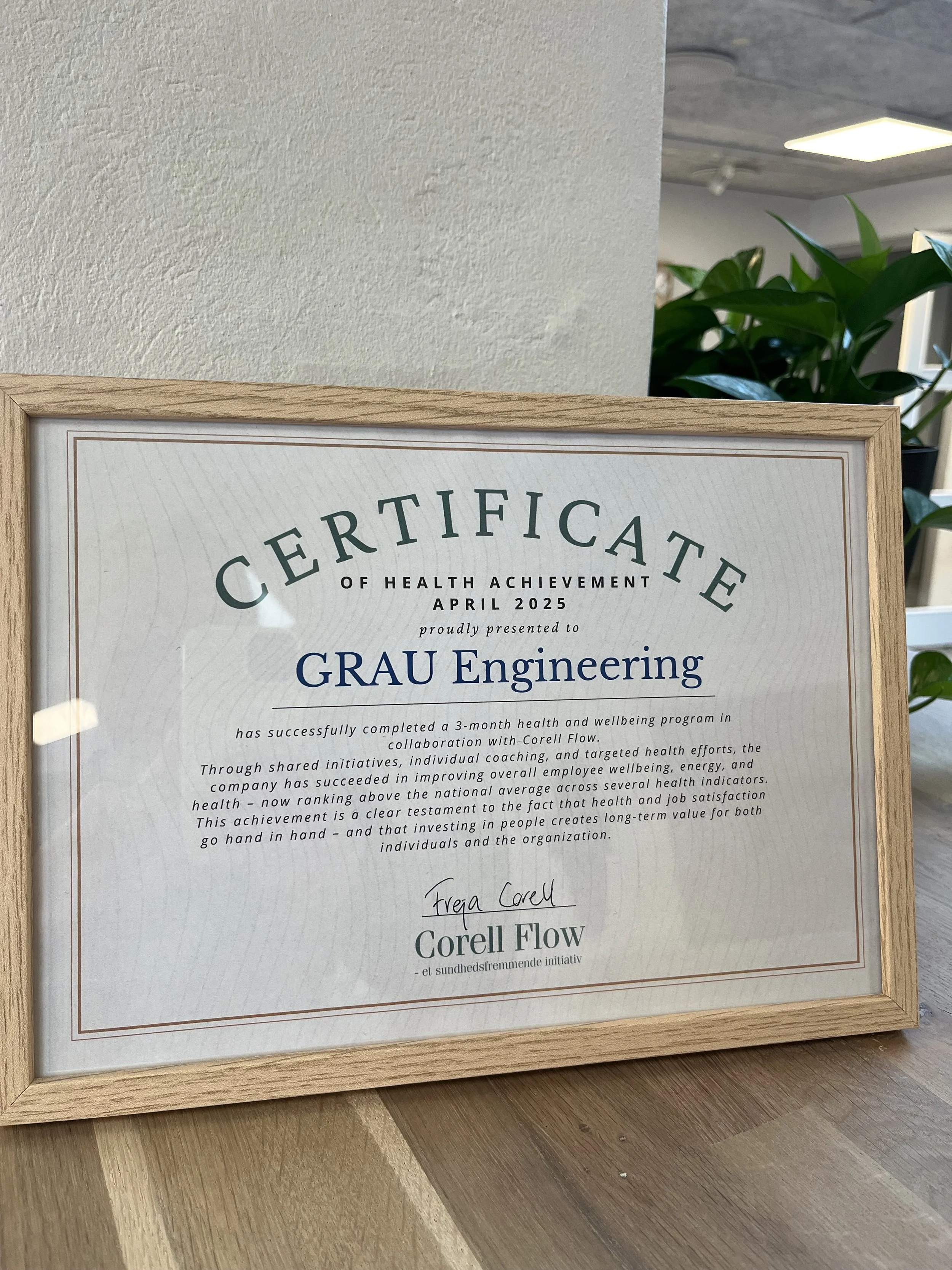 Sundhedscertifikat: GRAU Engineering